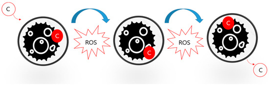 Diversity 16 00506 g0a1