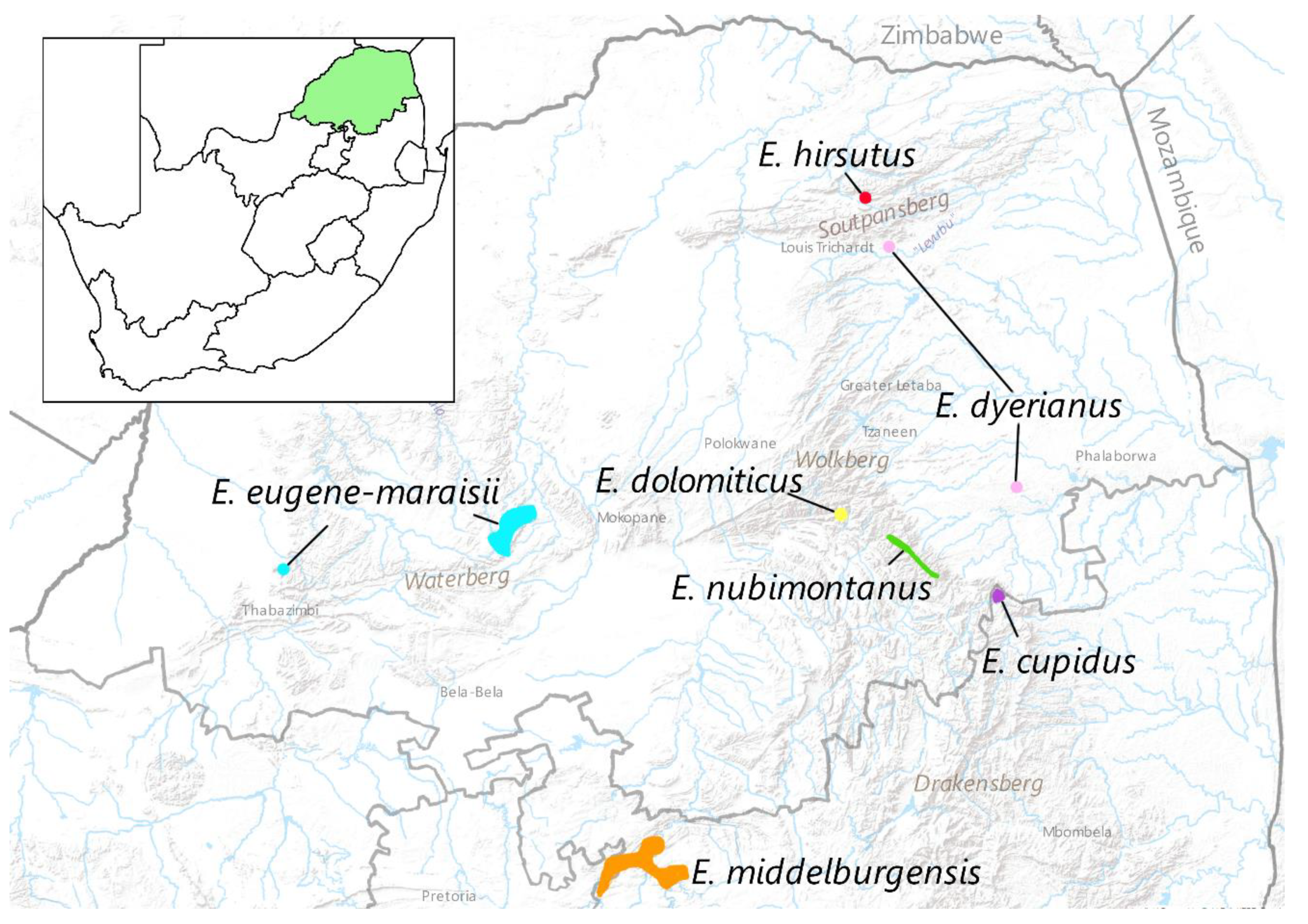 Diversity 16 00507 g001