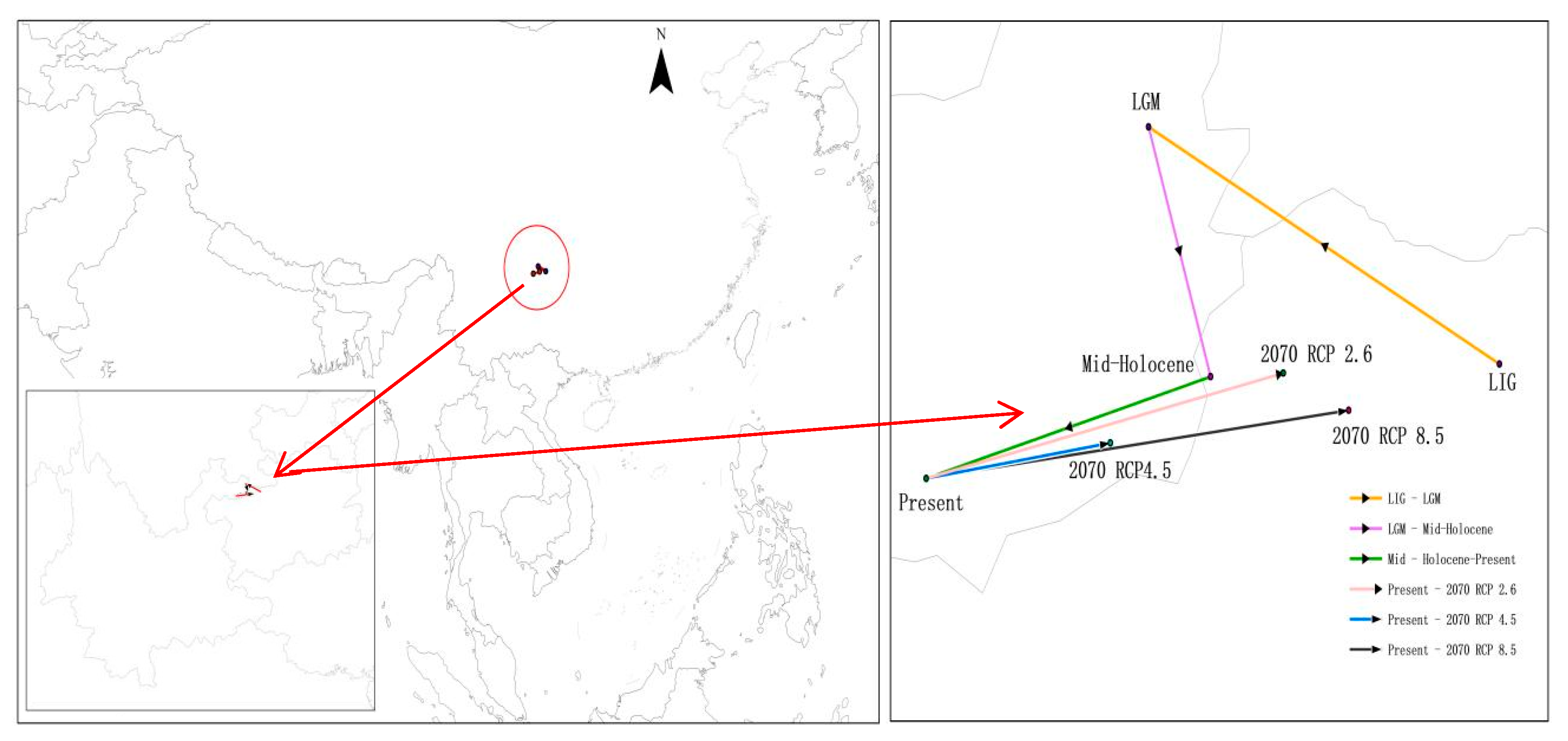 Diversity 16 00511 g004