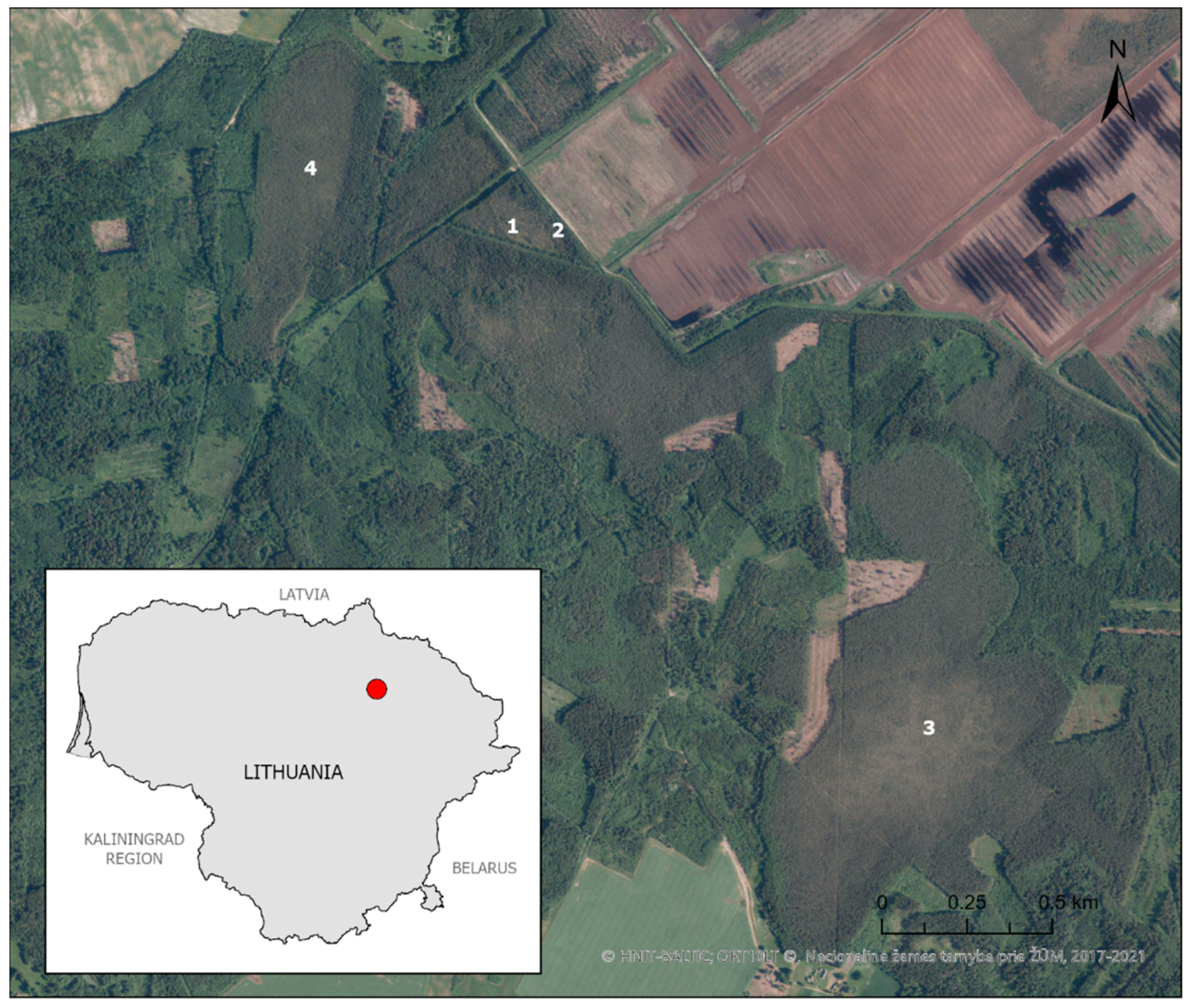 Diversity 16 00512 g002