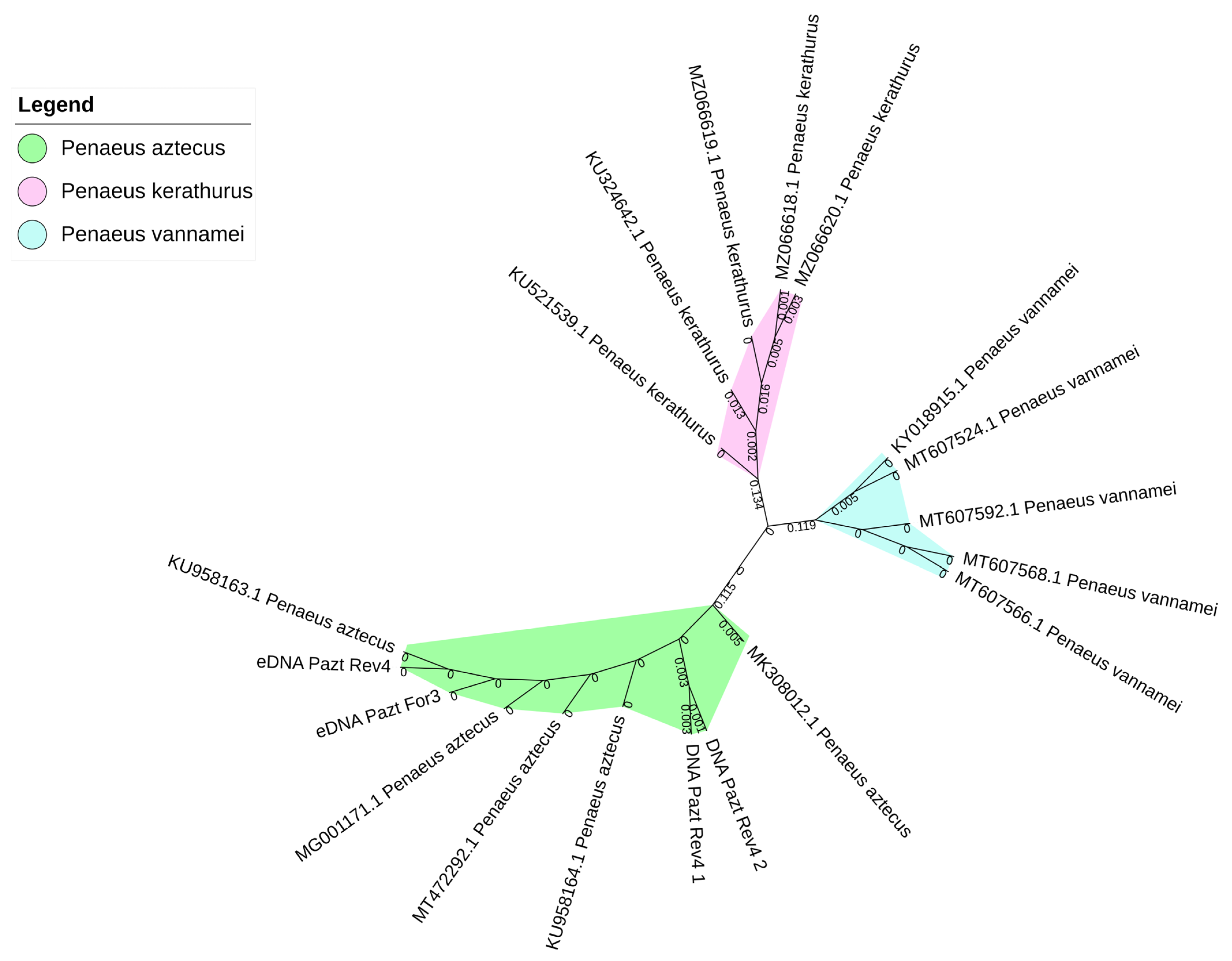 Diversity 16 00525 g002 Diversity 16 00525 g002