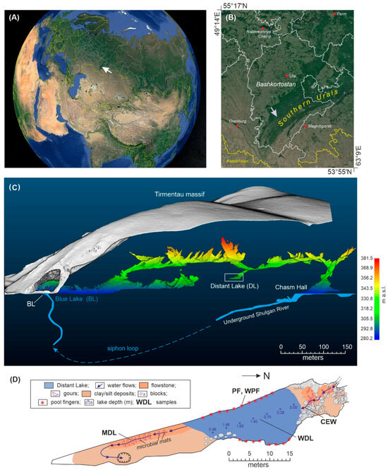 Diversity 16 00526 g001