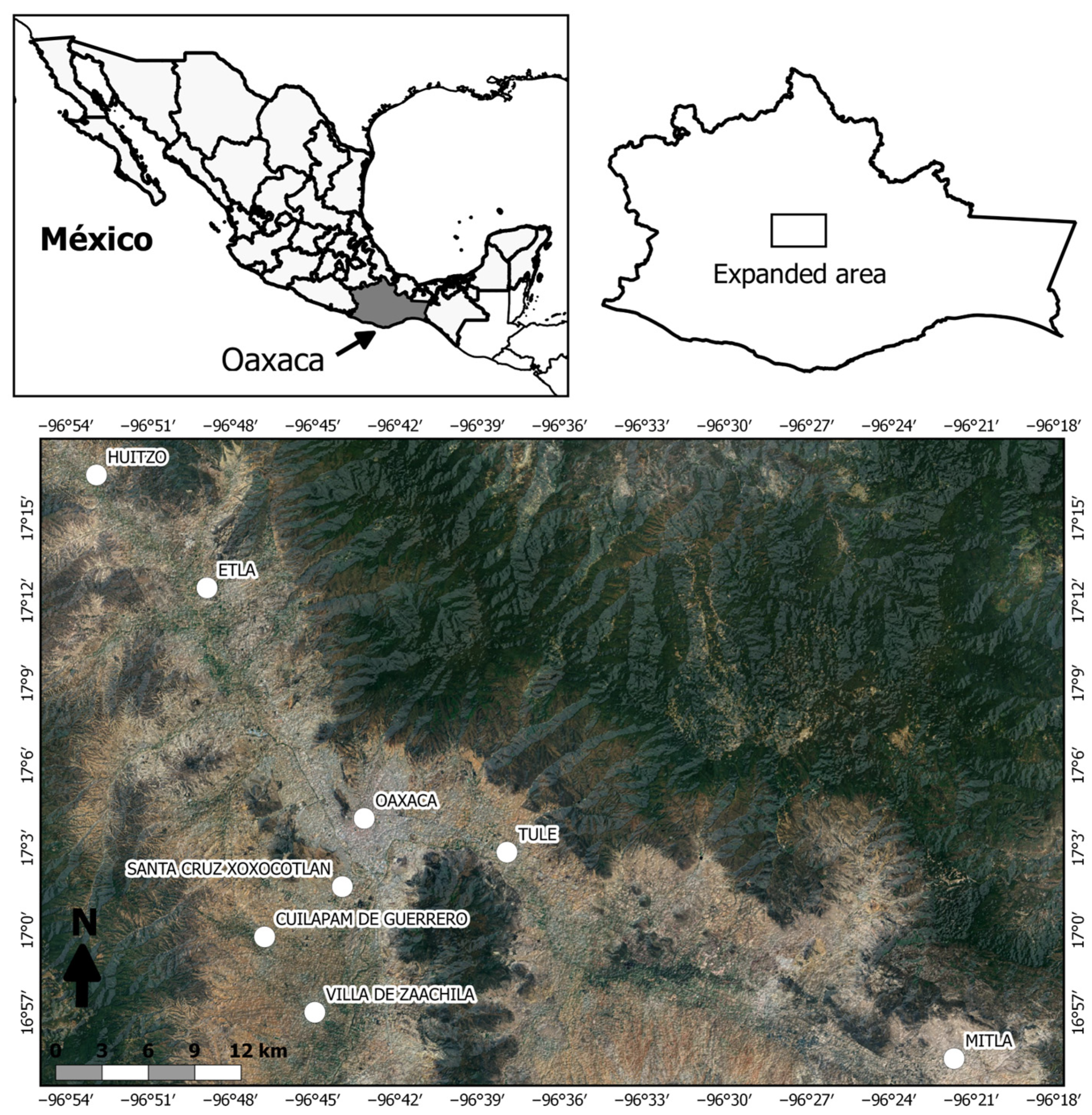 Diversity 16 00527 g001