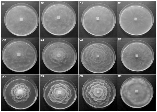 Diversity 16 00530 g003