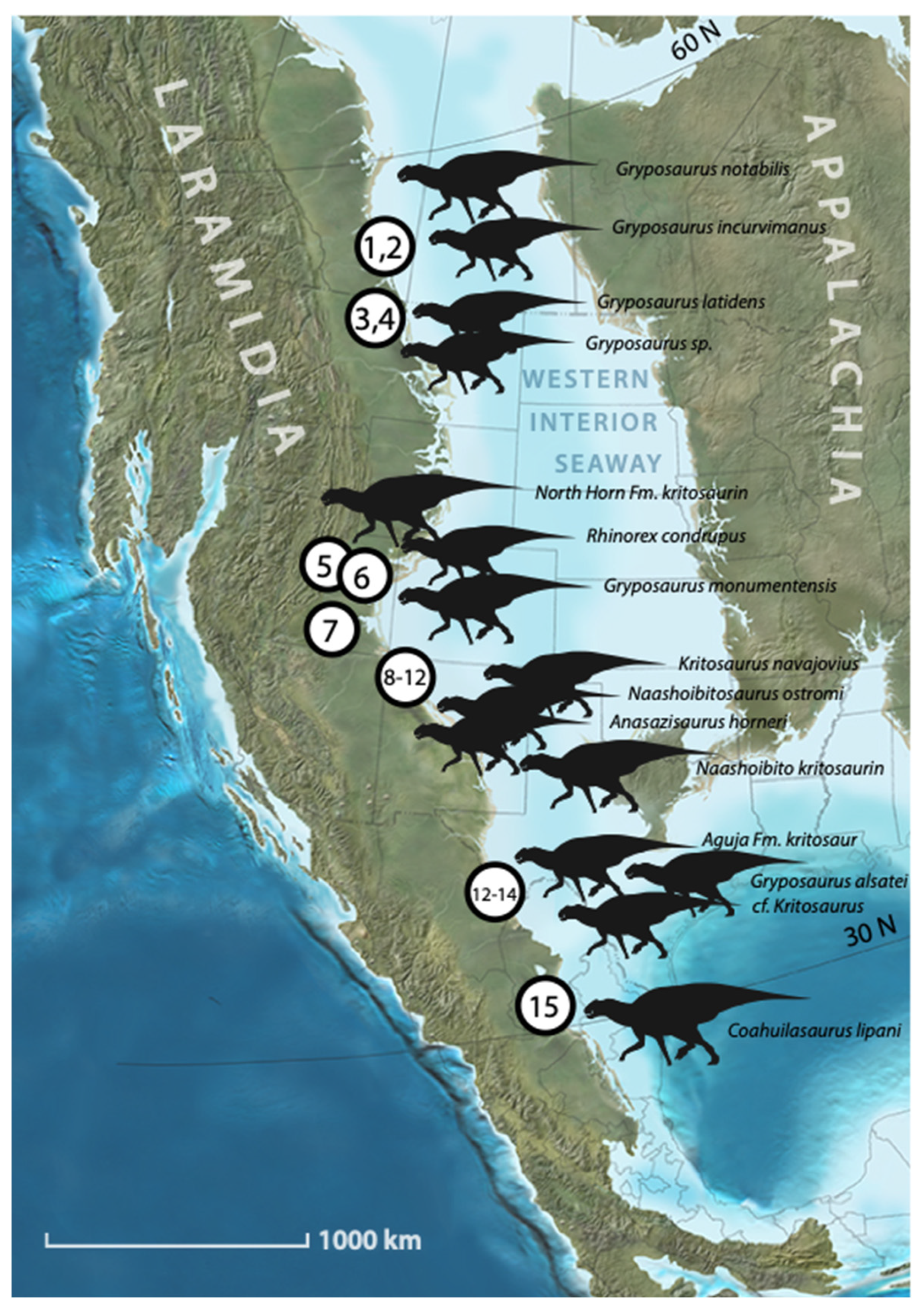 Diversity 16 00531 g001 Diversity 16 00531 g001
