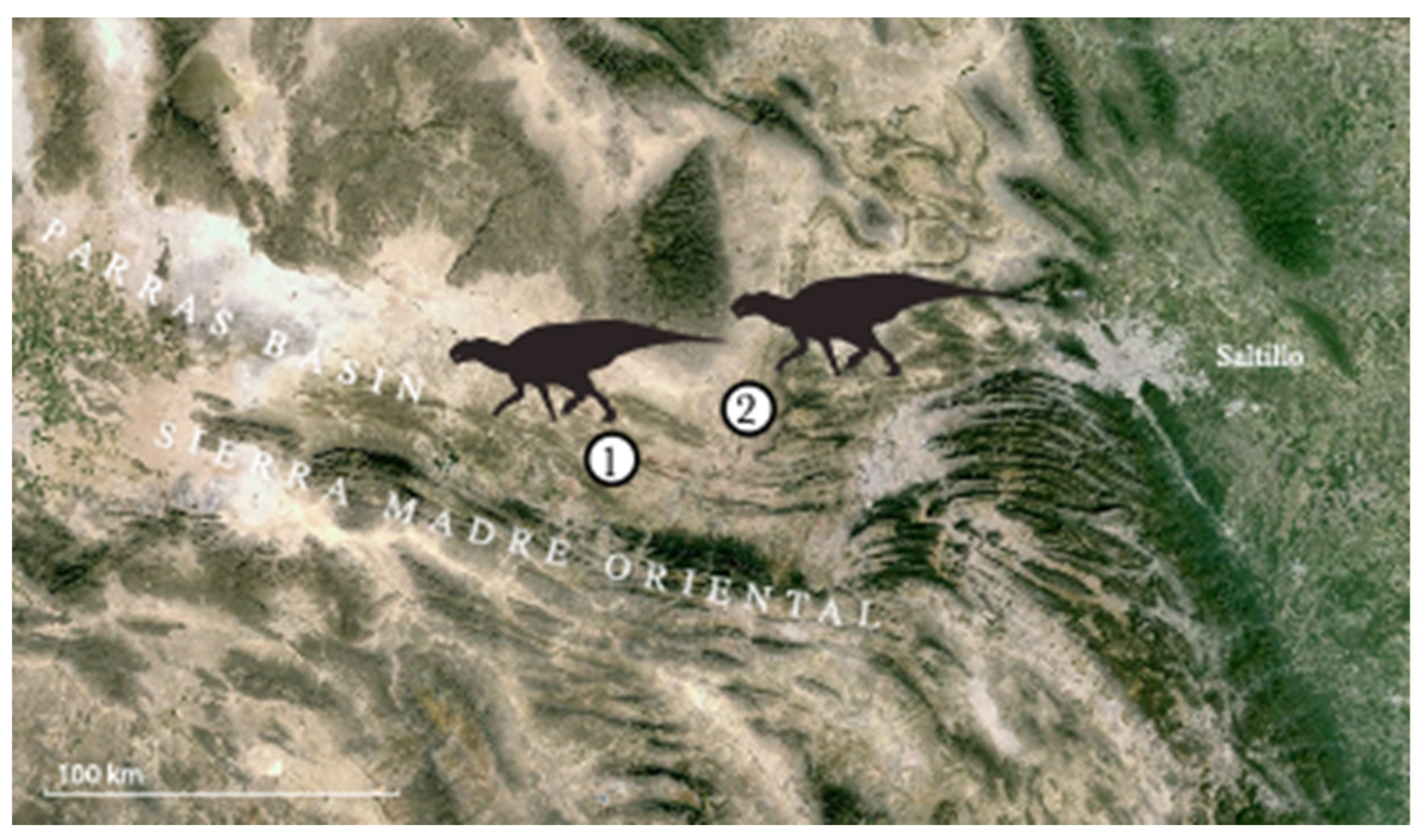 Diversity 16 00531 g002 Diversity 16 00531 g002