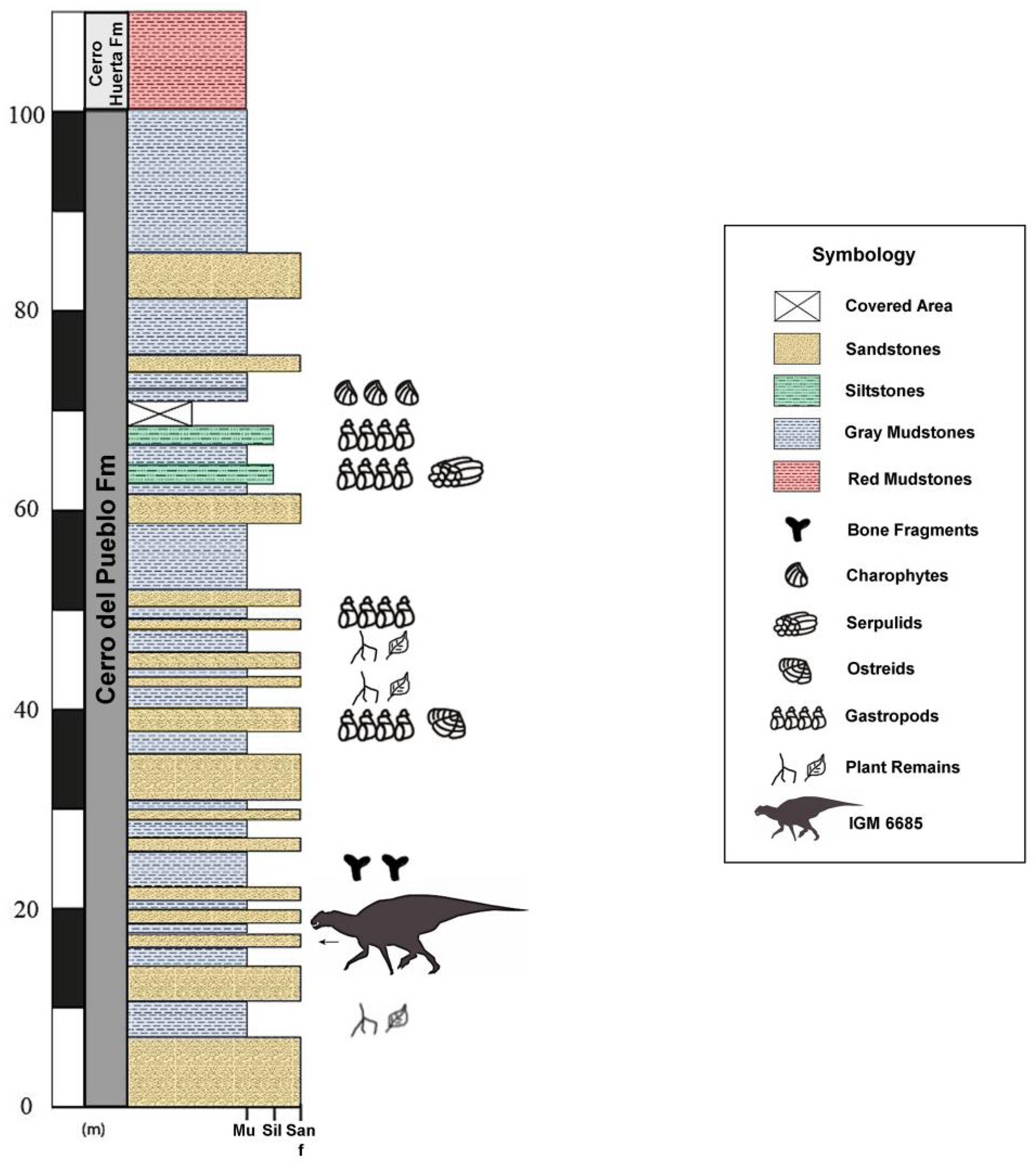 Diversity 16 00531 g004 Diversity 16 00531 g004