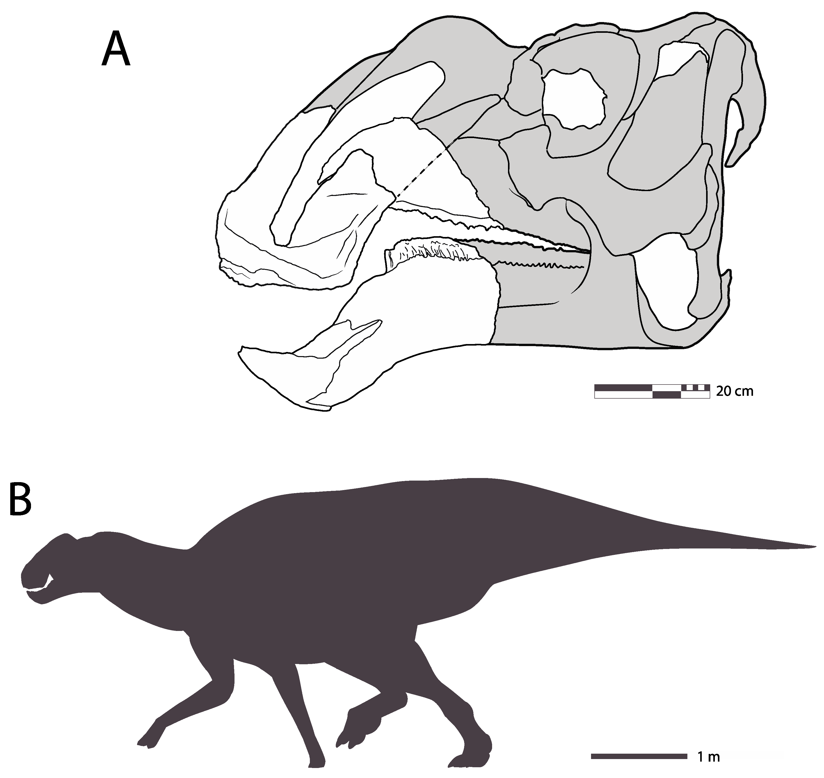 Diversity 16 00531 g005 Diversity 16 00531 g005