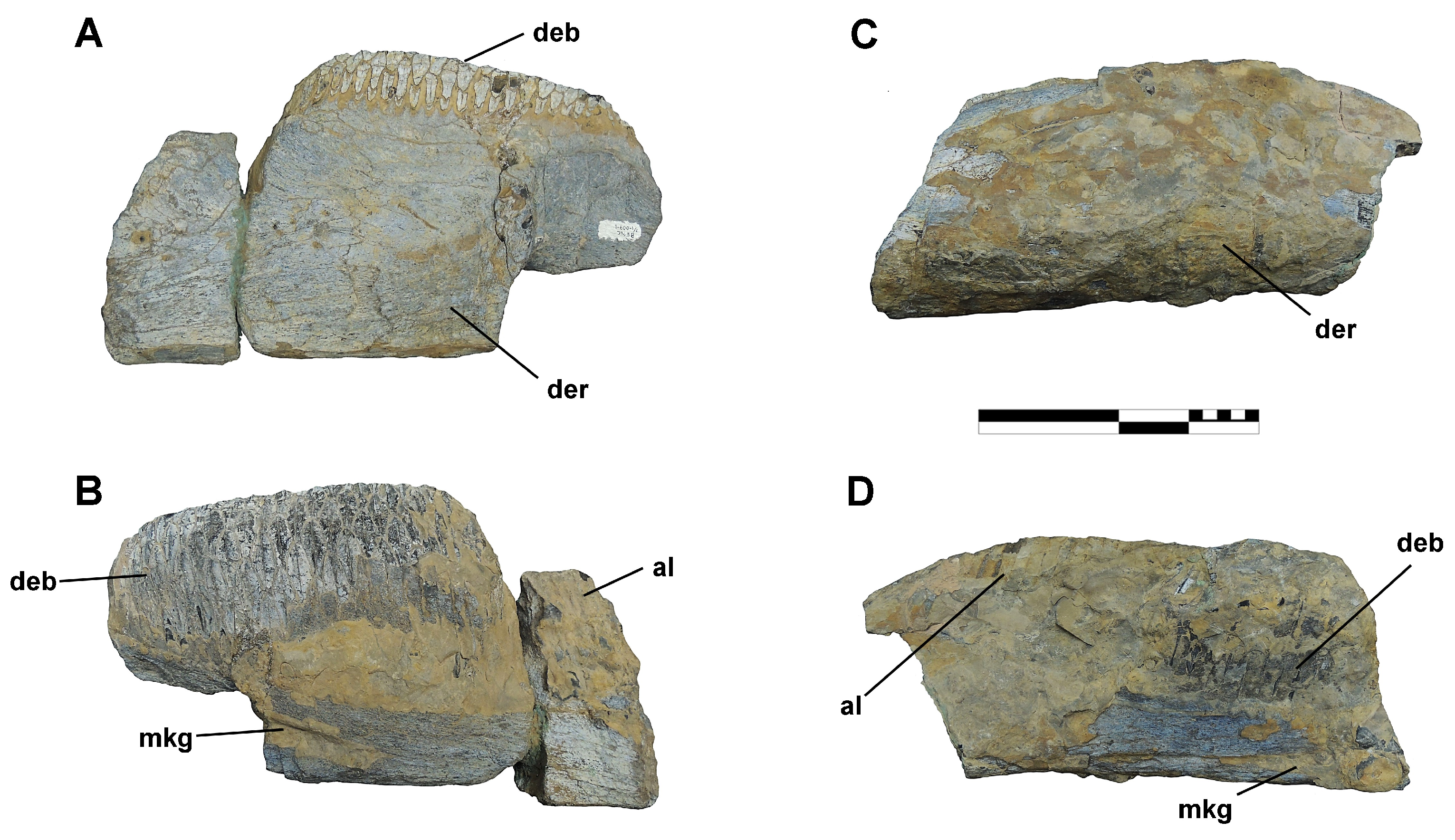 Diversity 16 00531 g015 Diversity 16 00531 g015