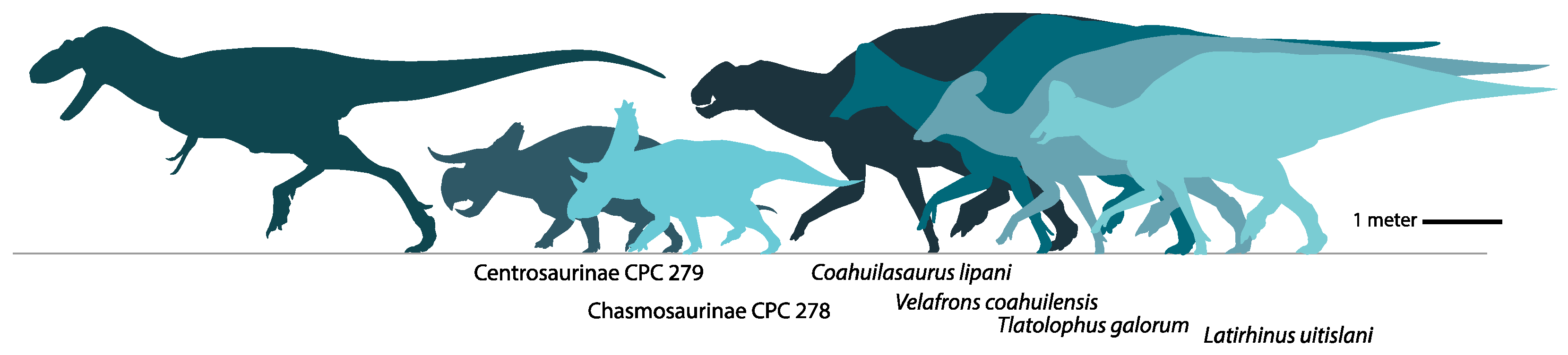 Diversity 16 00531 g019 Diversity 16 00531 g019