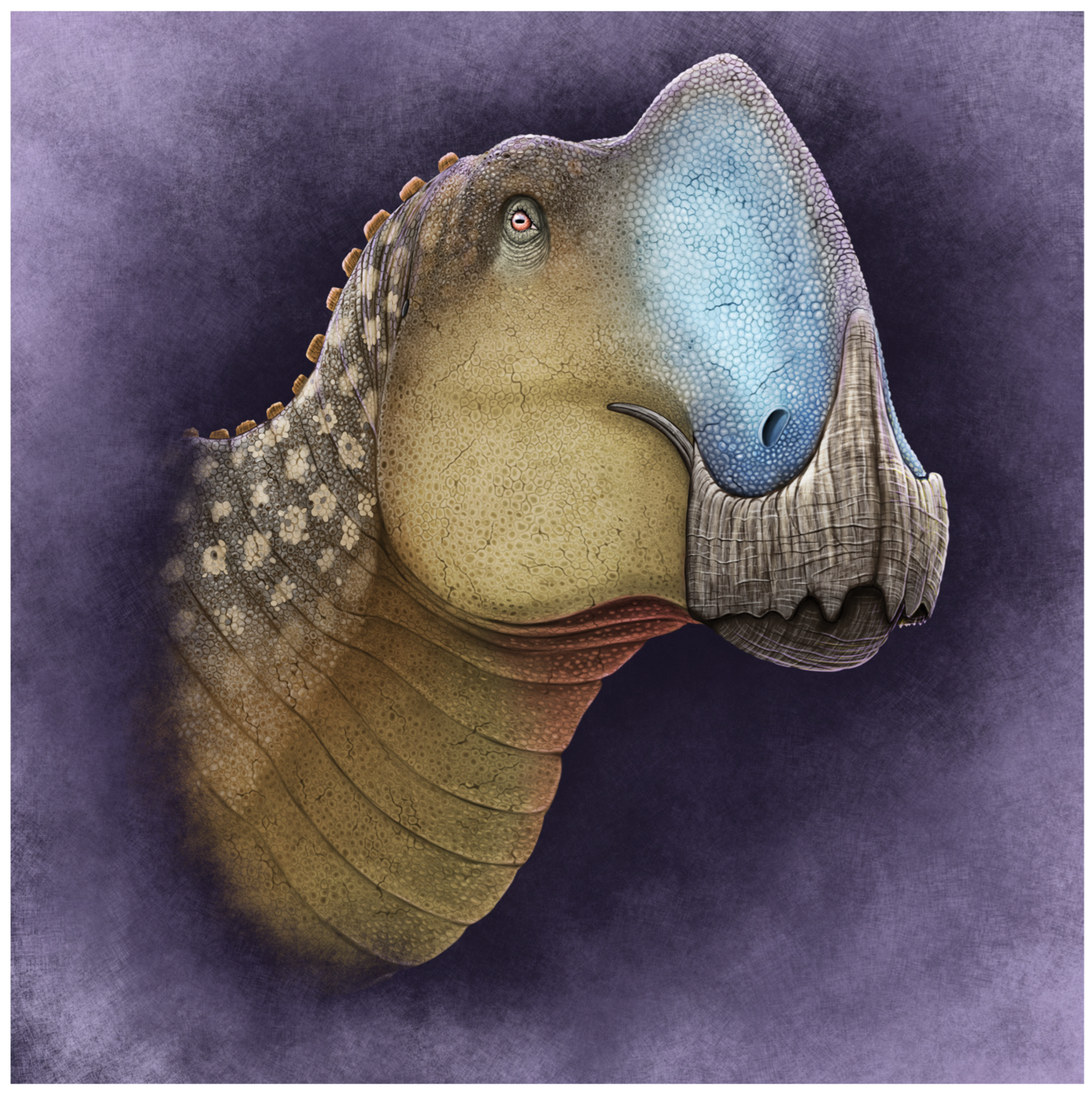 Diversity 16 00531 g020 Diversity 16 00531 g020