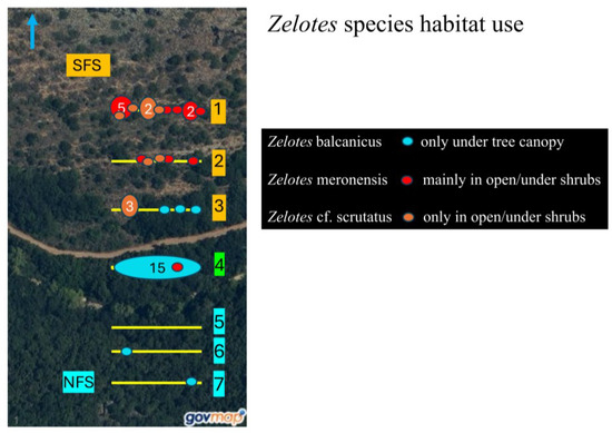 Diversity 16 00540 g0a4