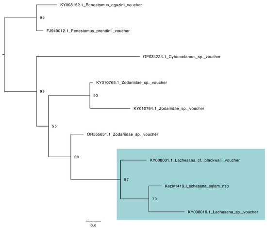 Diversity 16 00540 g0a5