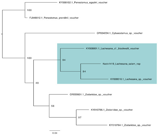 Diversity 16 00540 g0a6