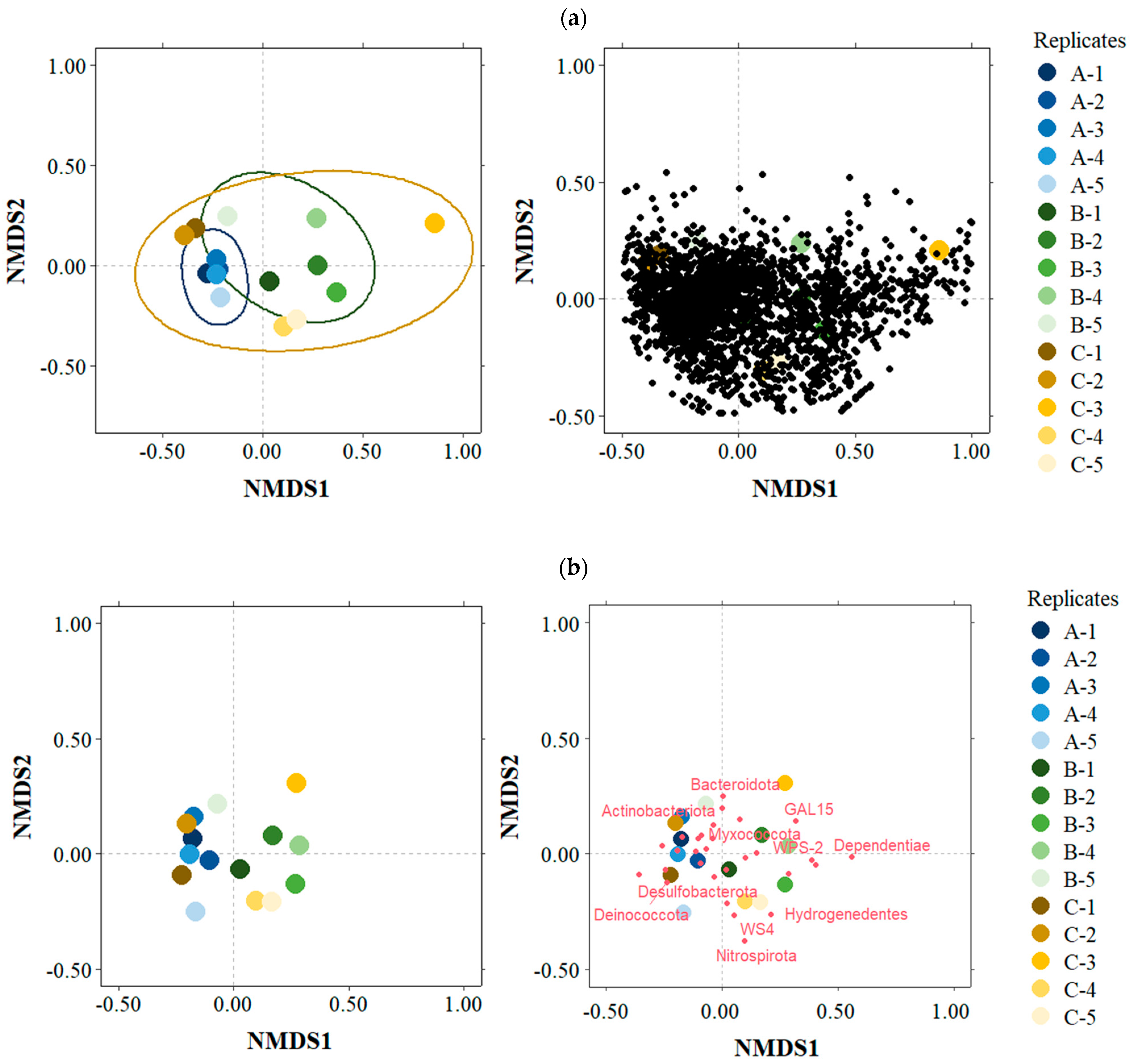 Diversity 16 00544 g010