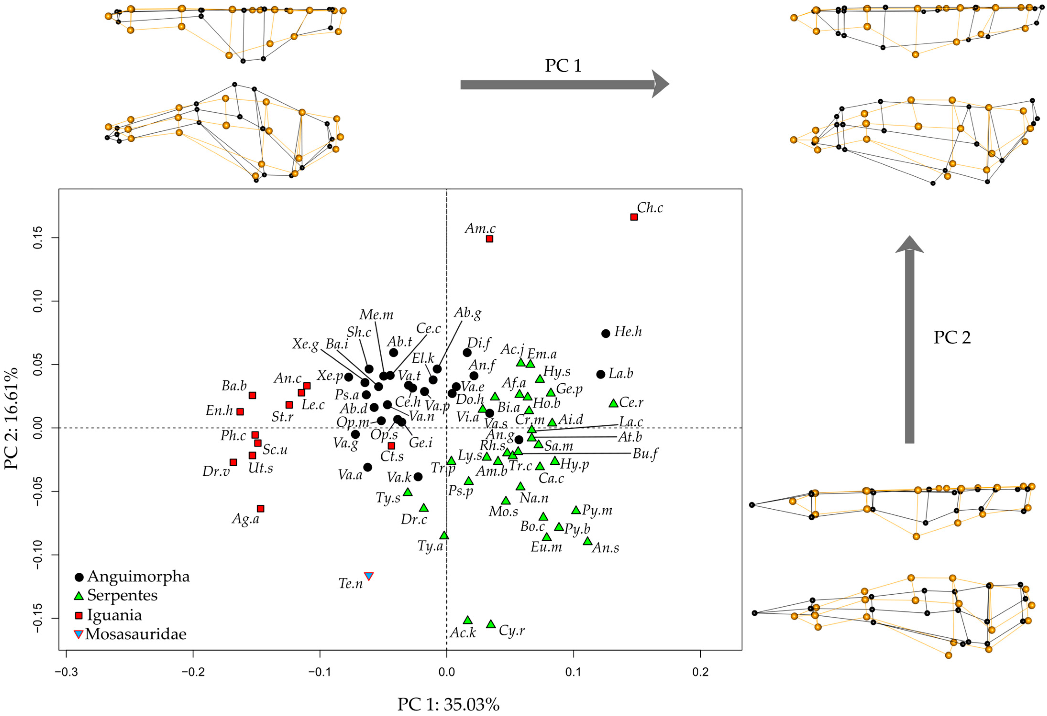 Diversity 16 00548 g002 Diversity 16 00548 g002