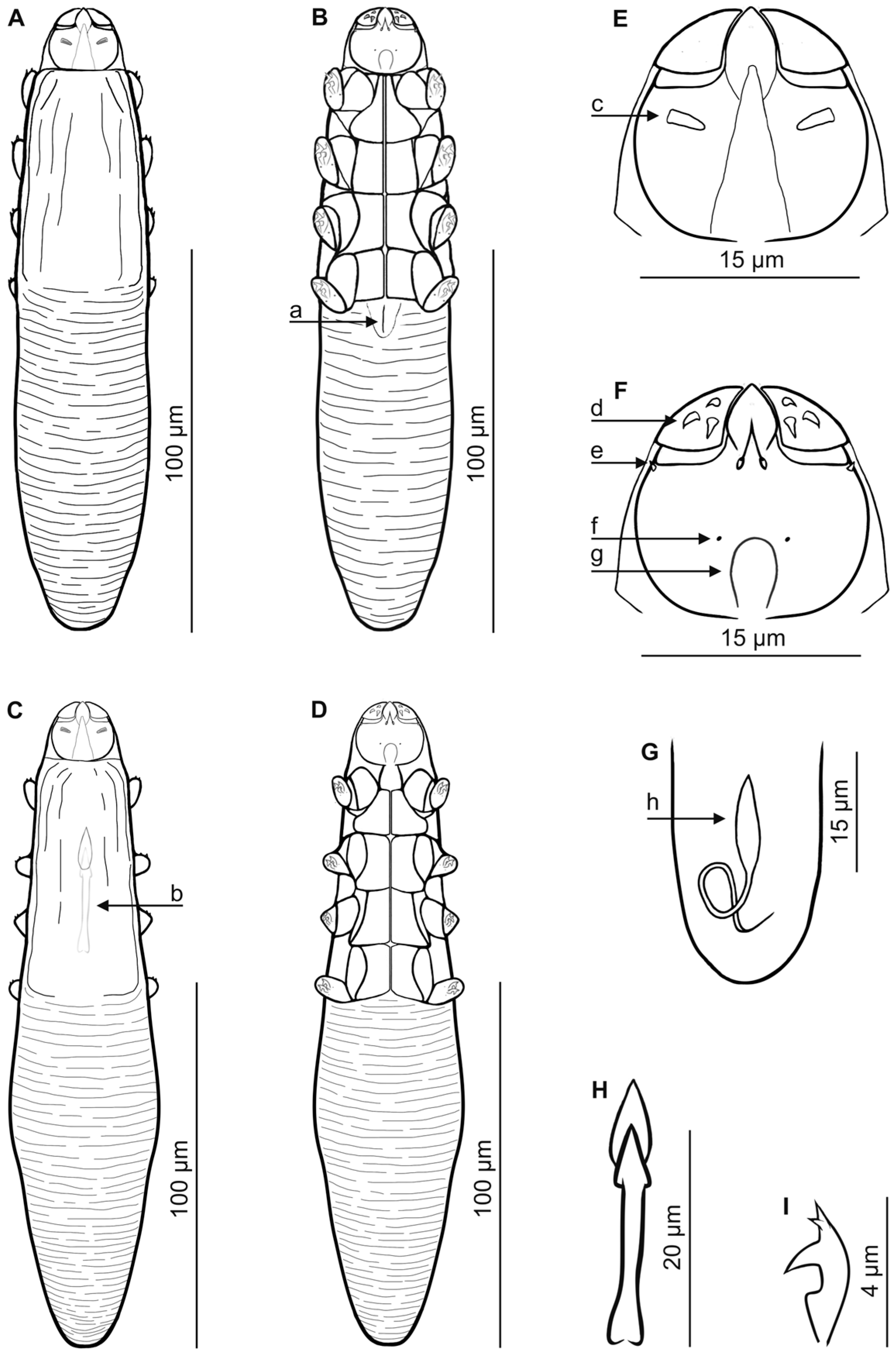 Diversity 16 00550 g003 Diversity 16 00550 g003