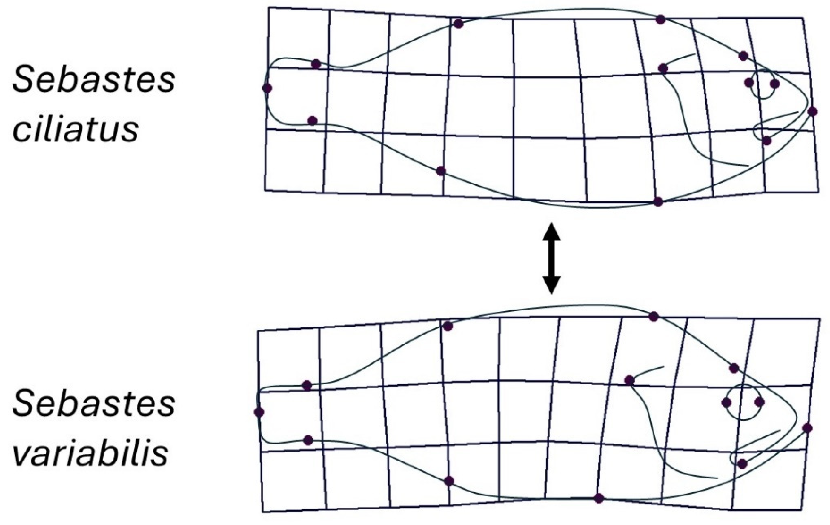 Diversity 16 00552 g004