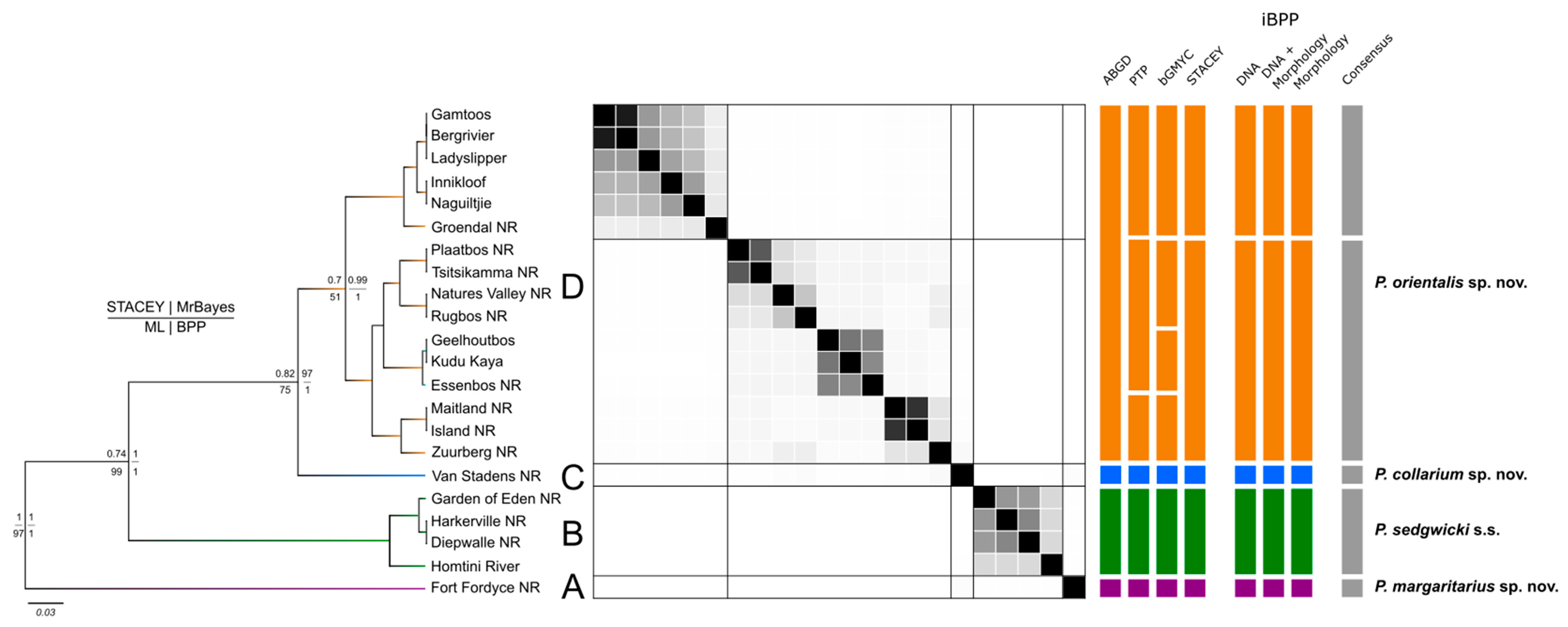 Diversity 16 00566 g002