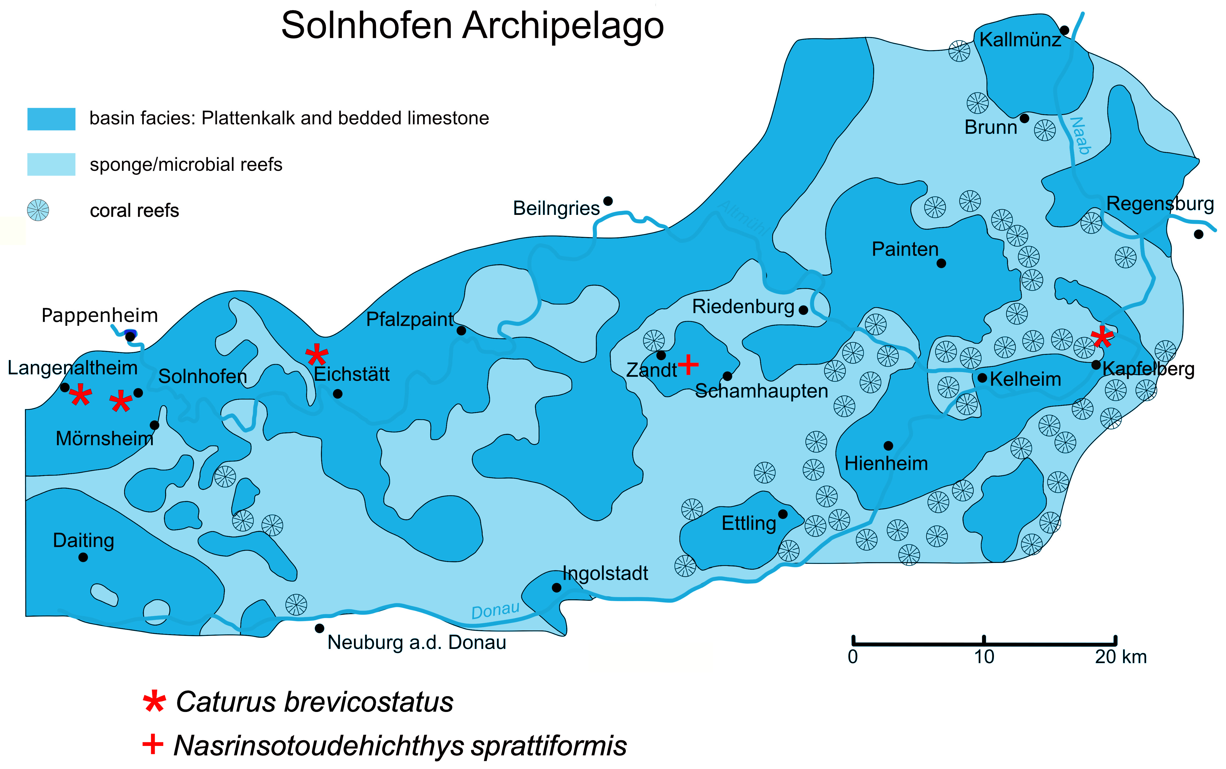 Diversity 16 00568 g001 Diversity 16 00568 g001