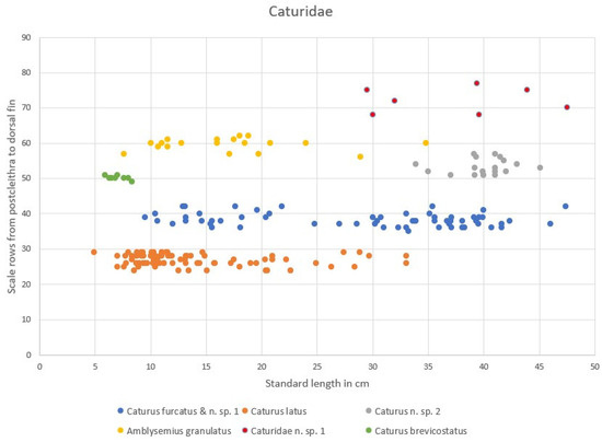 Diversity 16 00568 g020
