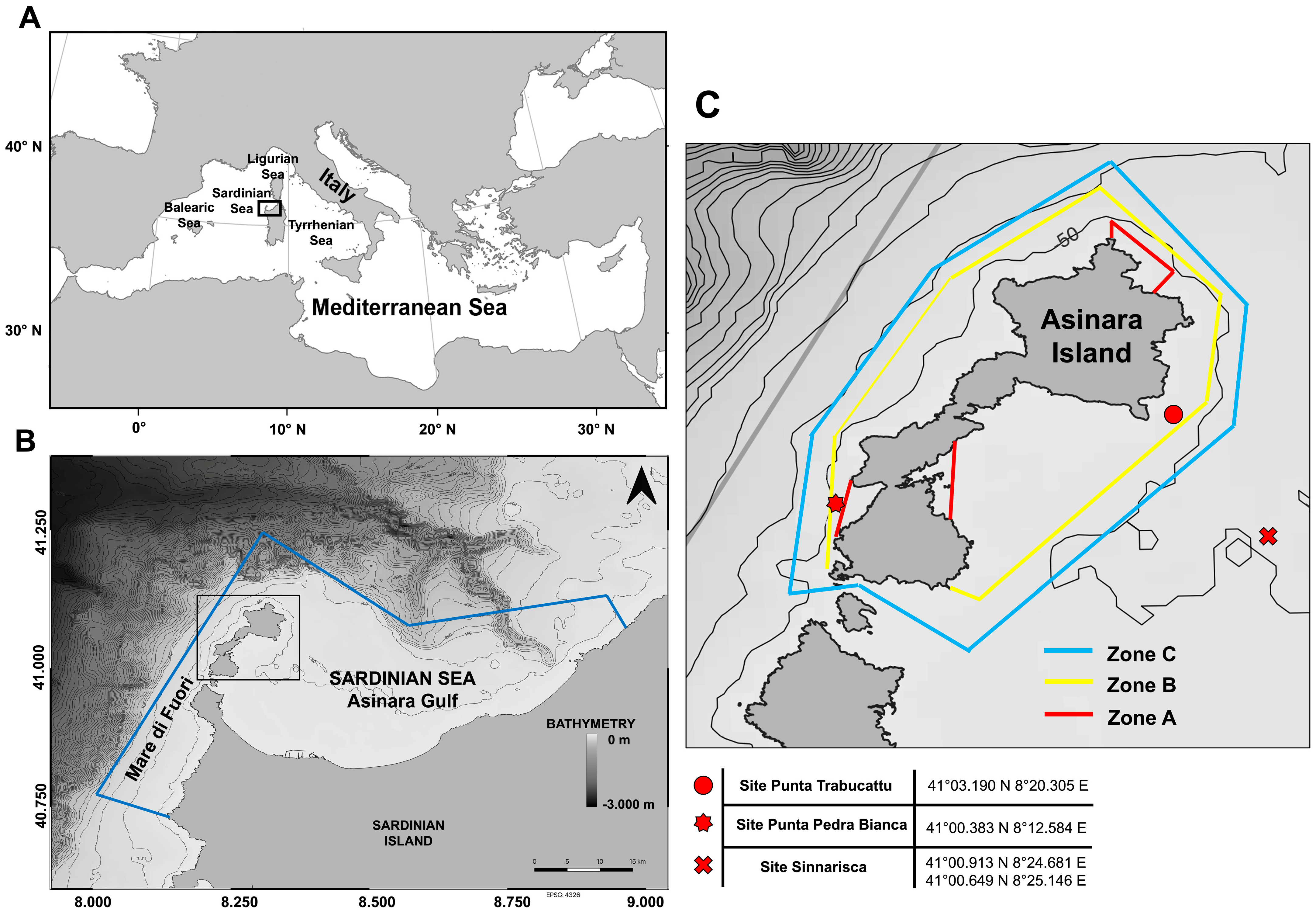 Diversity 16 00575 g001
