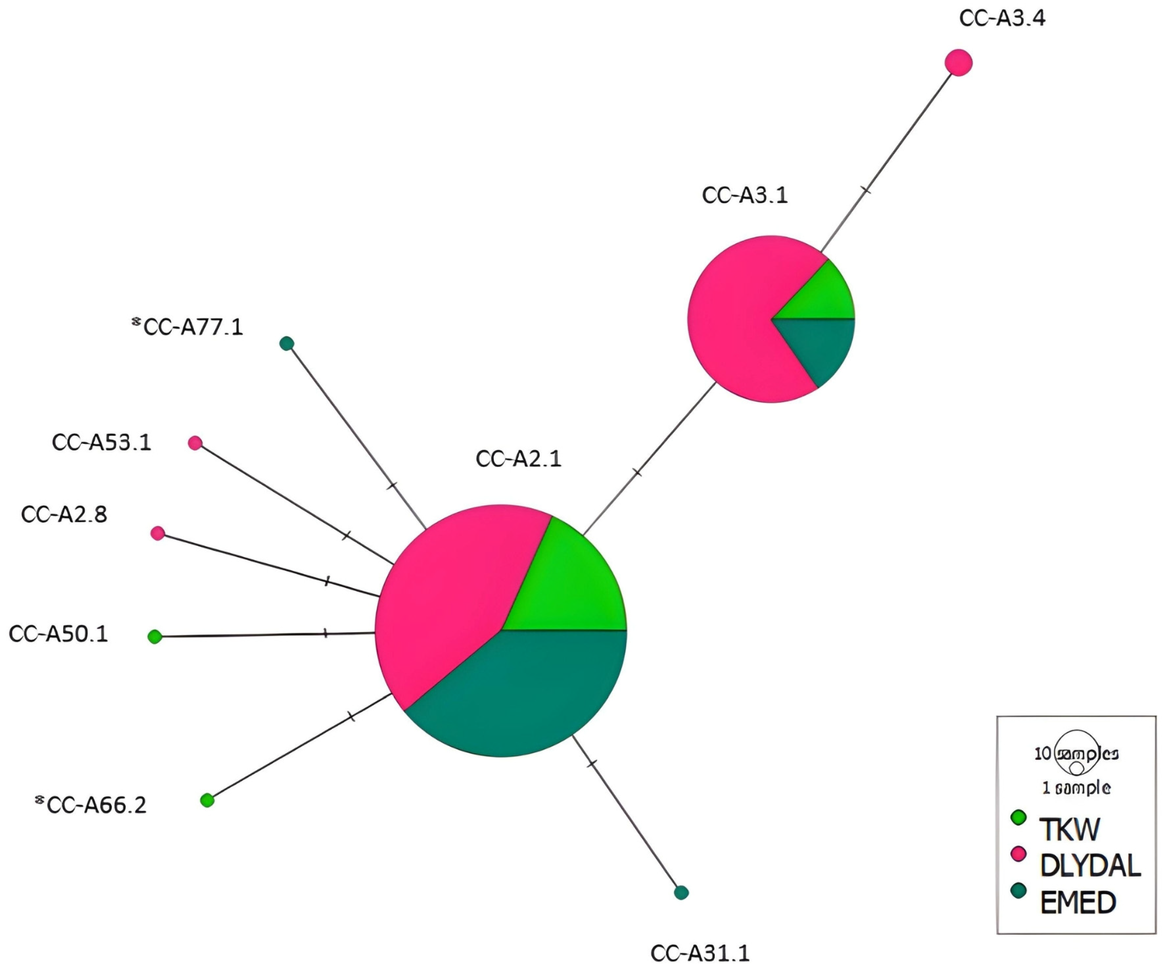 Diversity 16 00583 g002