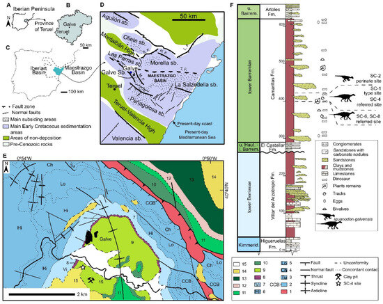 Diversity 16 00586 g001