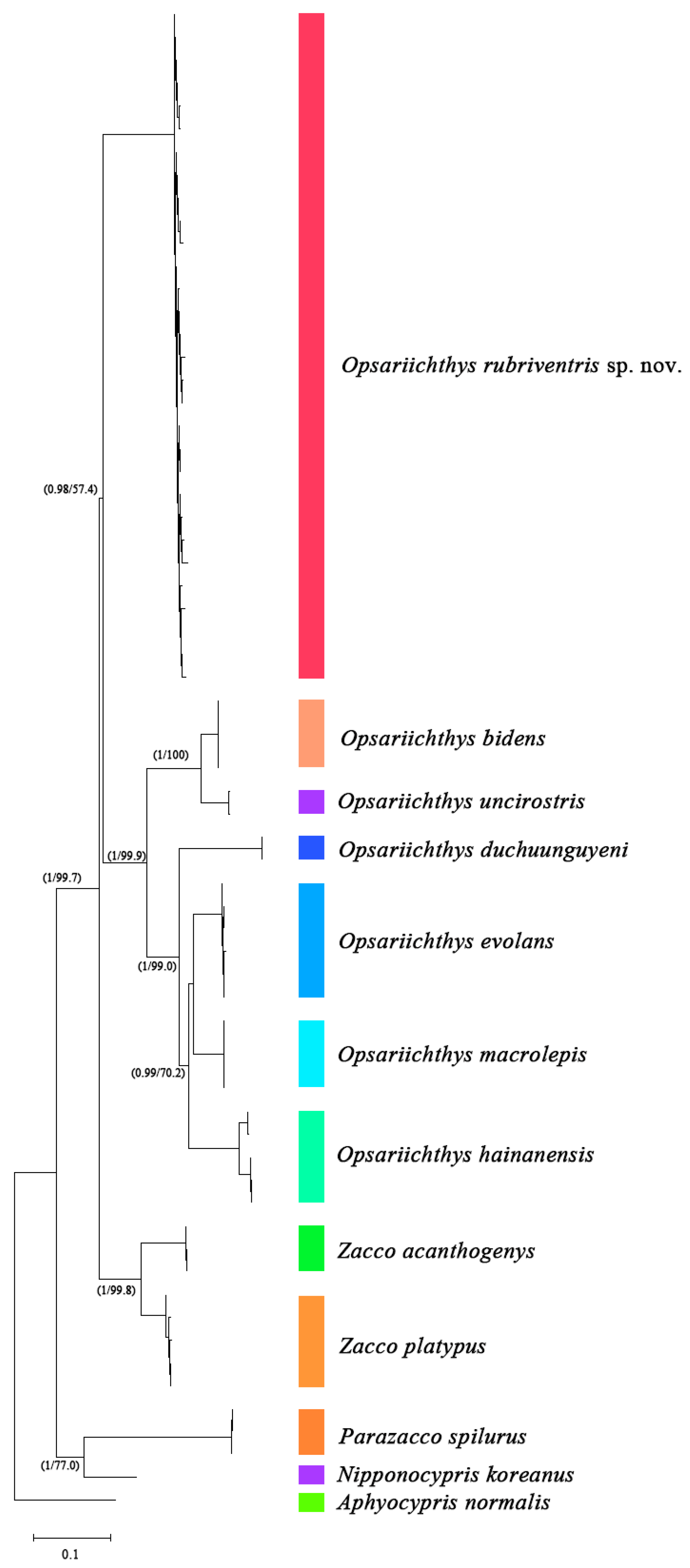 Diversity 16 00596 g002
