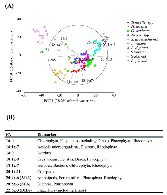 Diversity 16 00597 g003