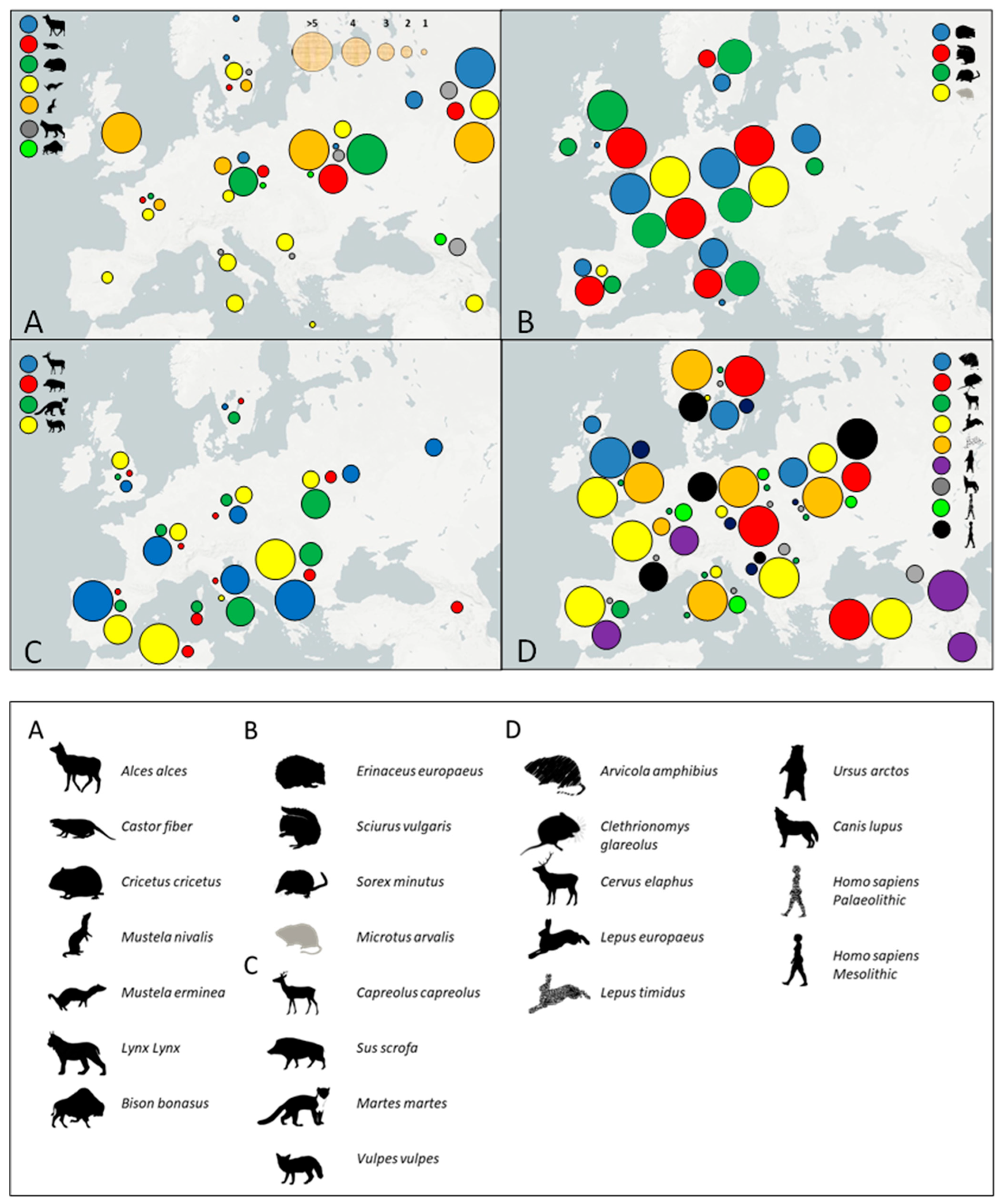 Diversity 16 00611 g002
