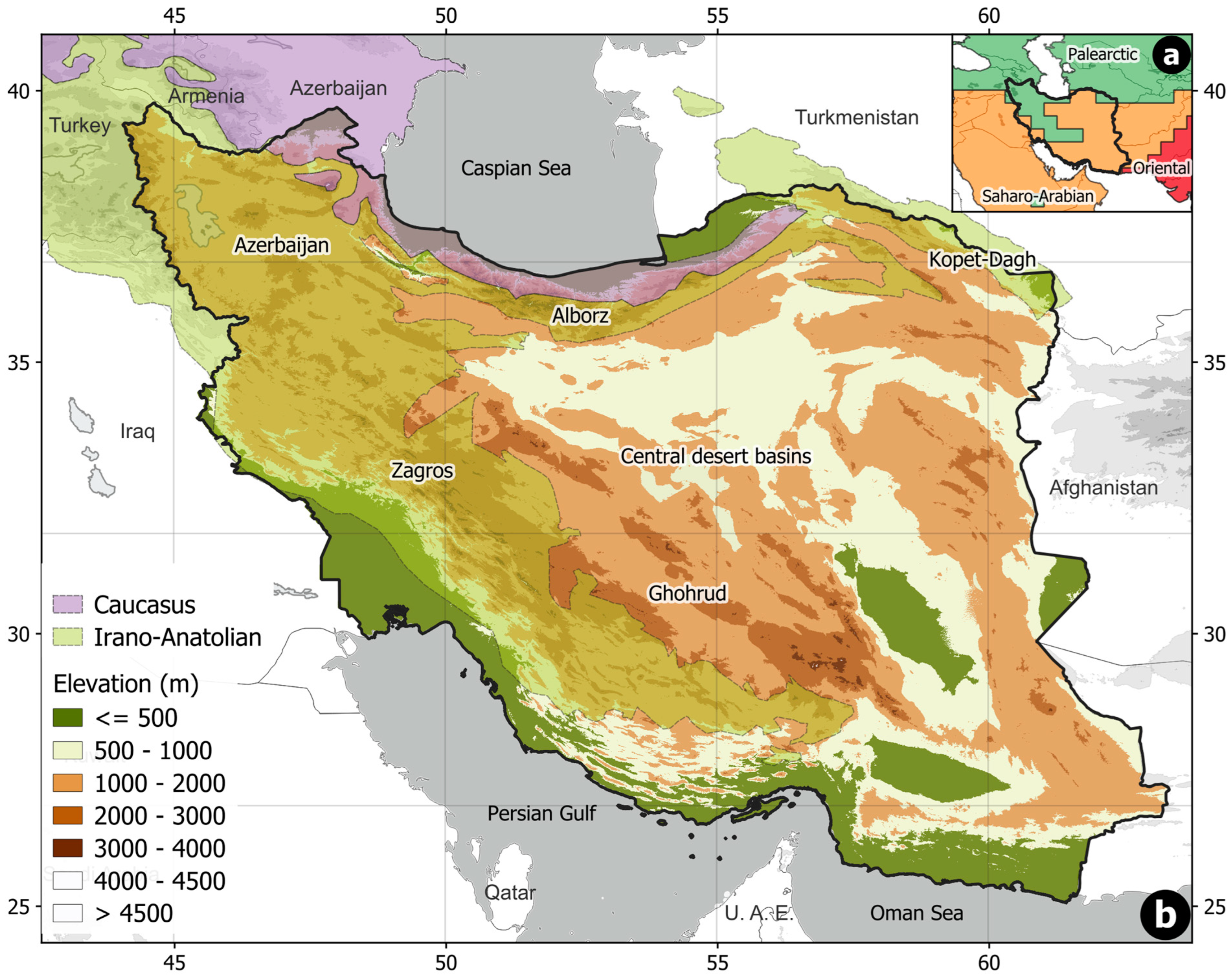 Diversity 16 00621 g001