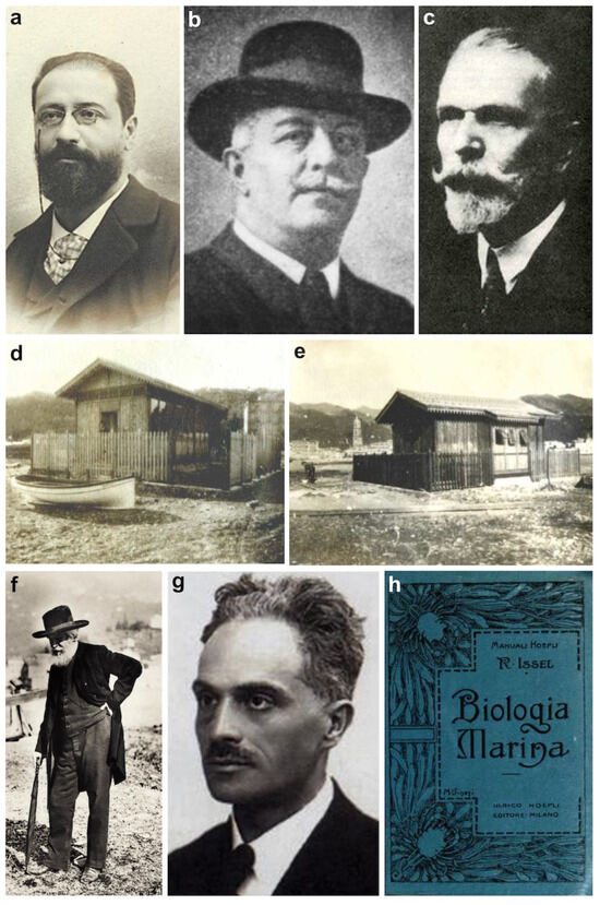 Diversity 16 00629 g002