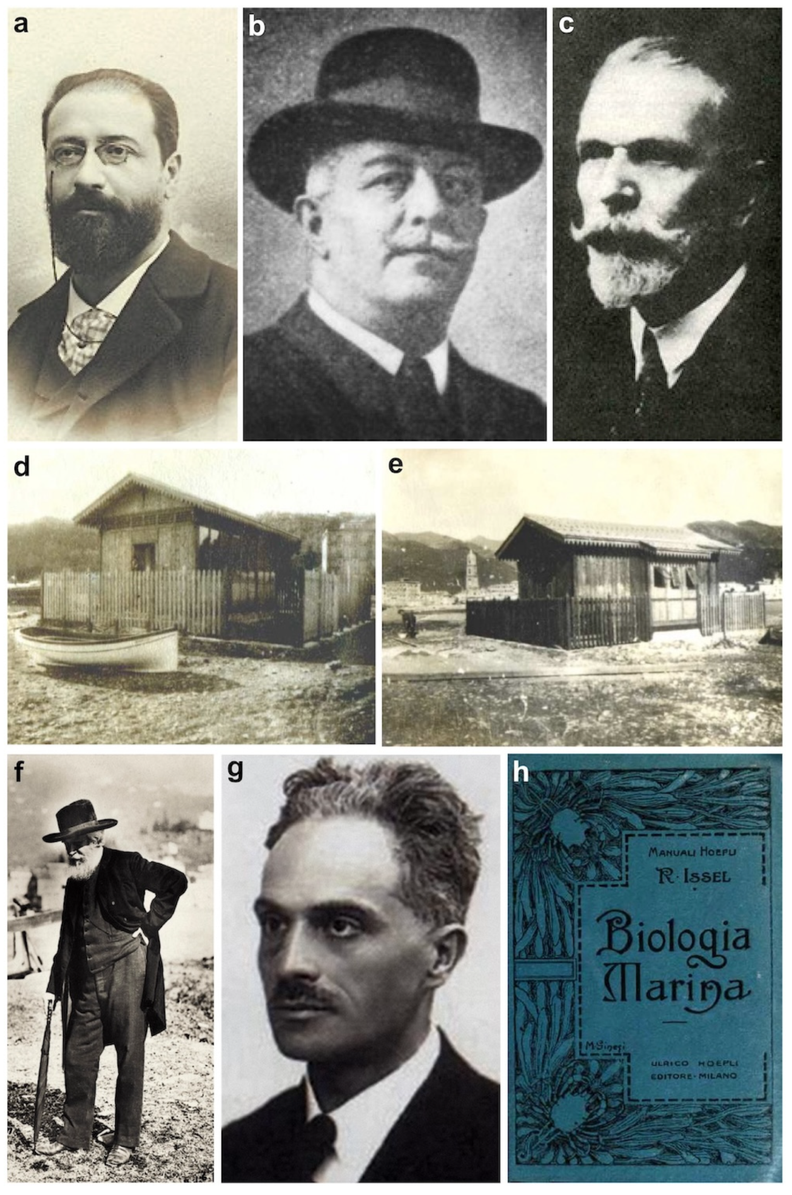 Diversity 16 00629 g002