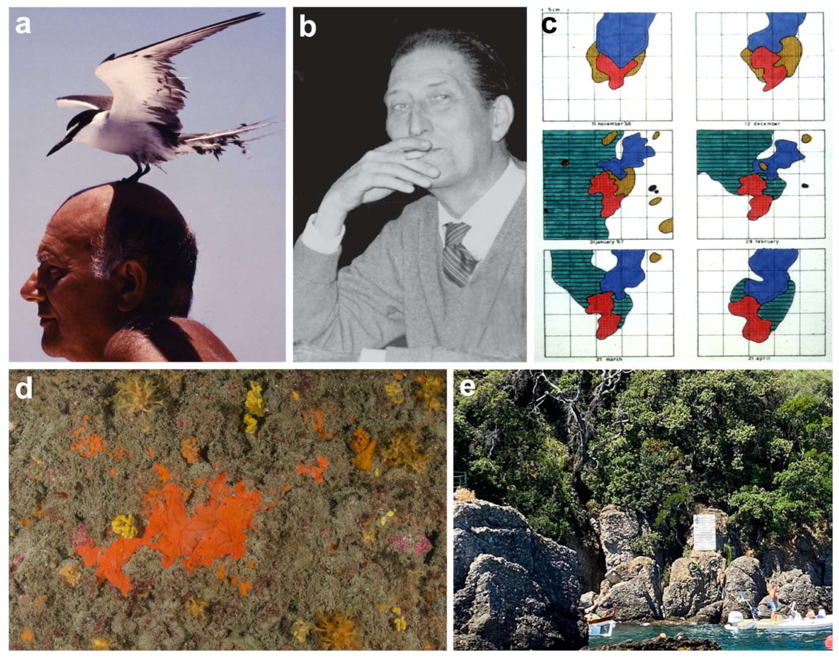 Diversity 16 00629 g004