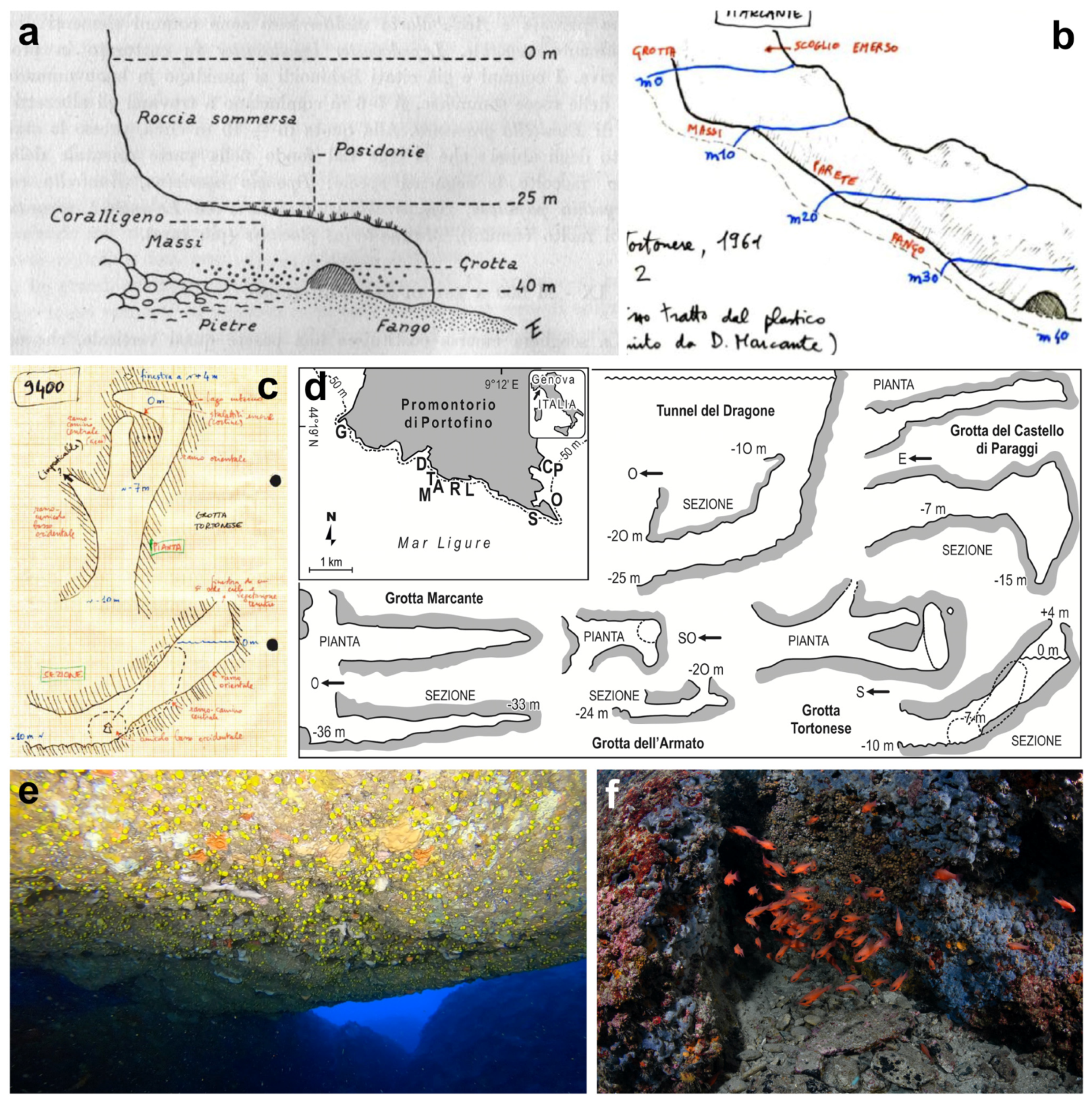 Diversity 16 00629 g009