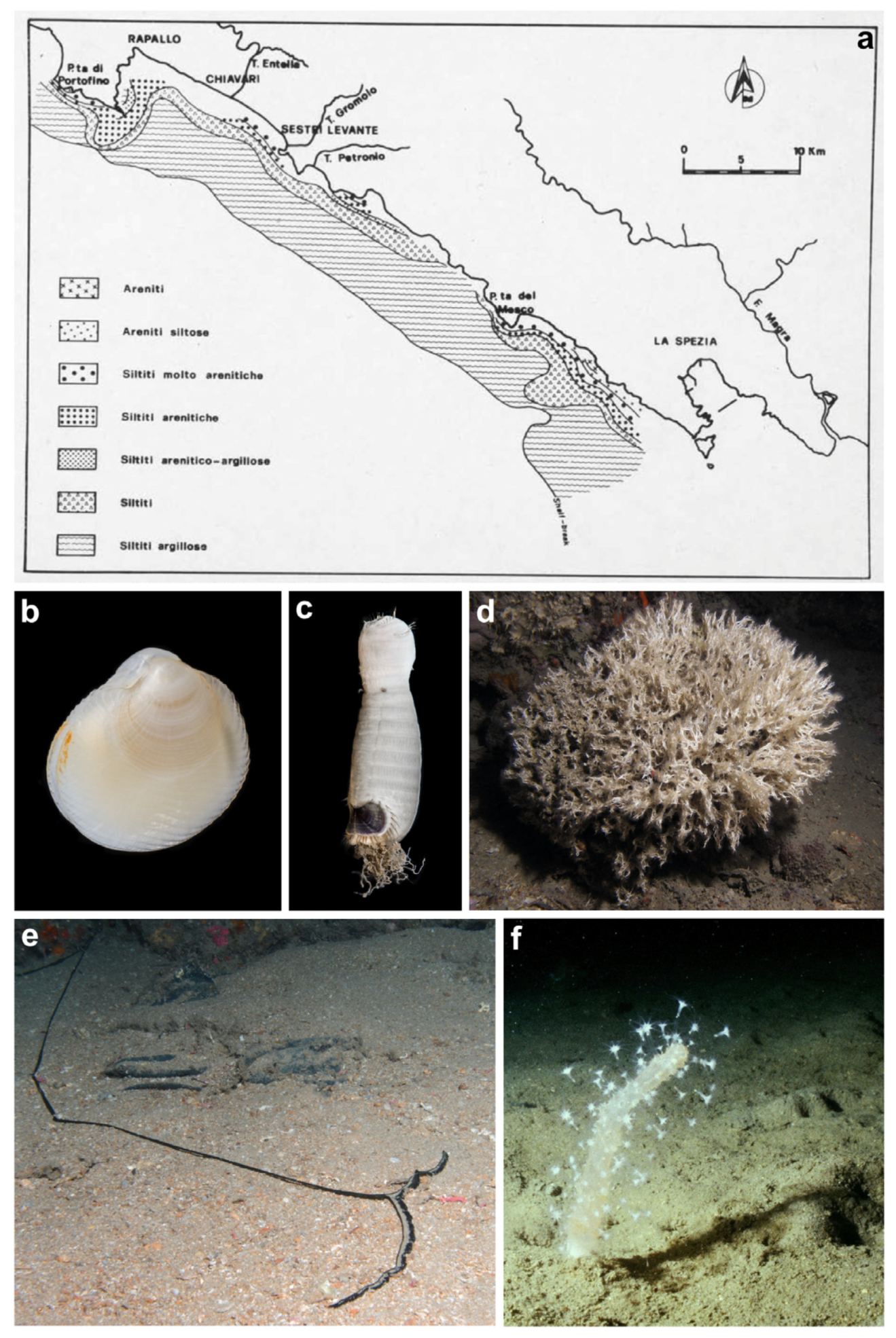 Diversity 16 00629 g012