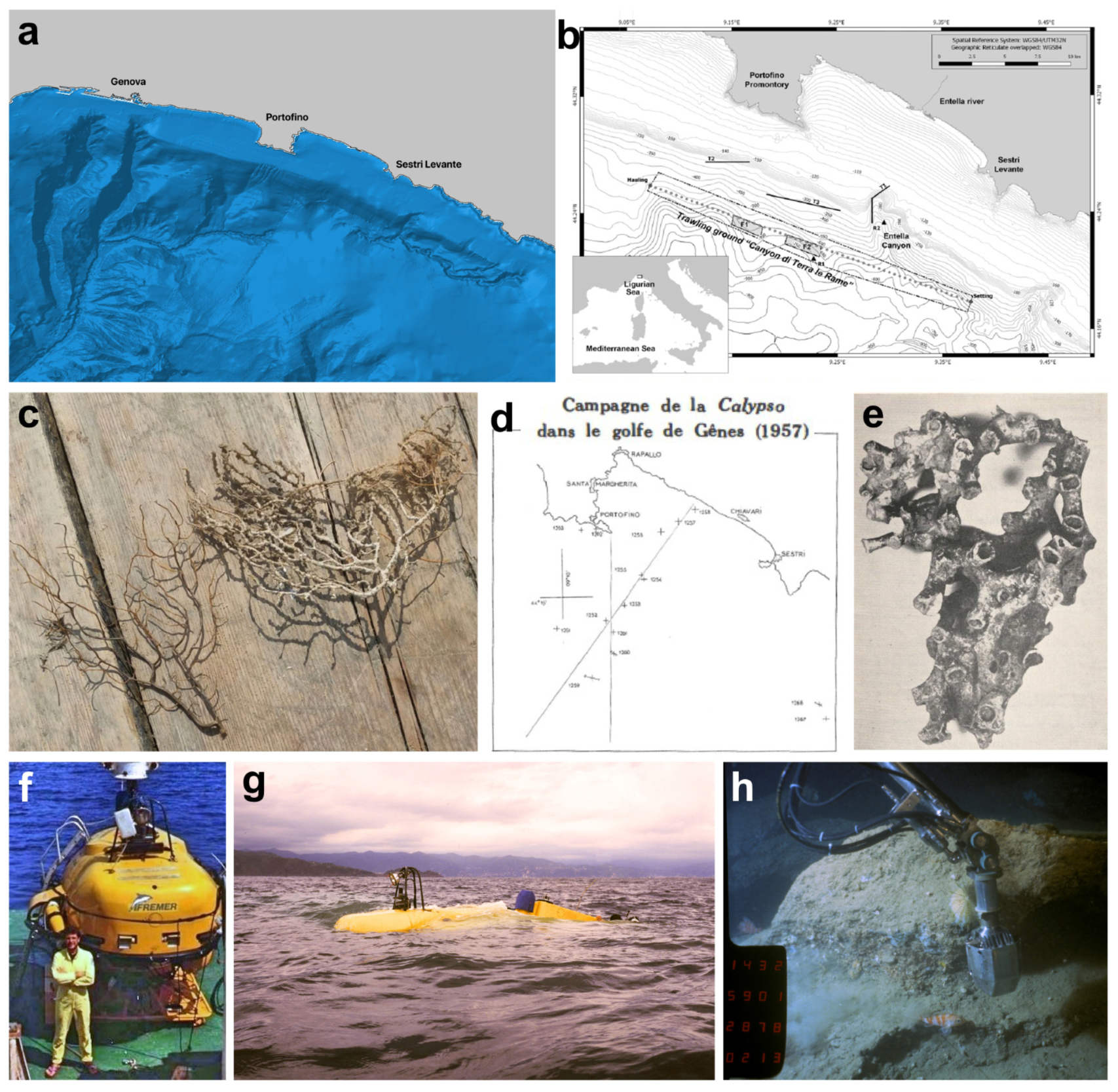 Diversity 16 00629 g013