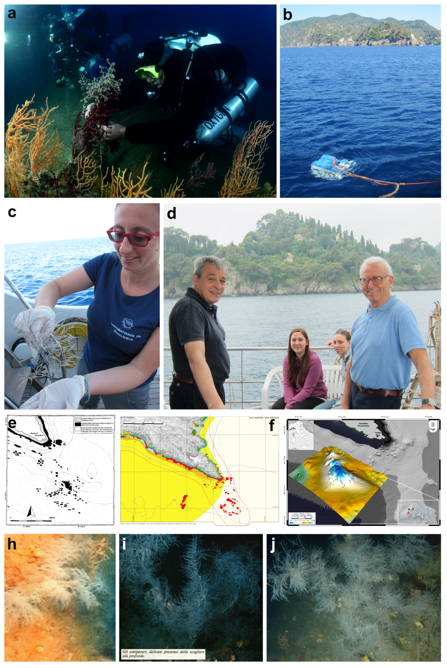 Diversity 16 00629 g014