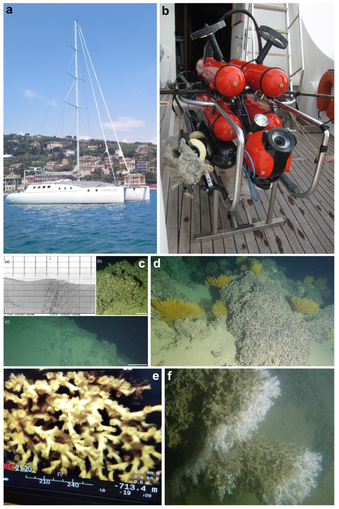 Diversity 16 00629 g015