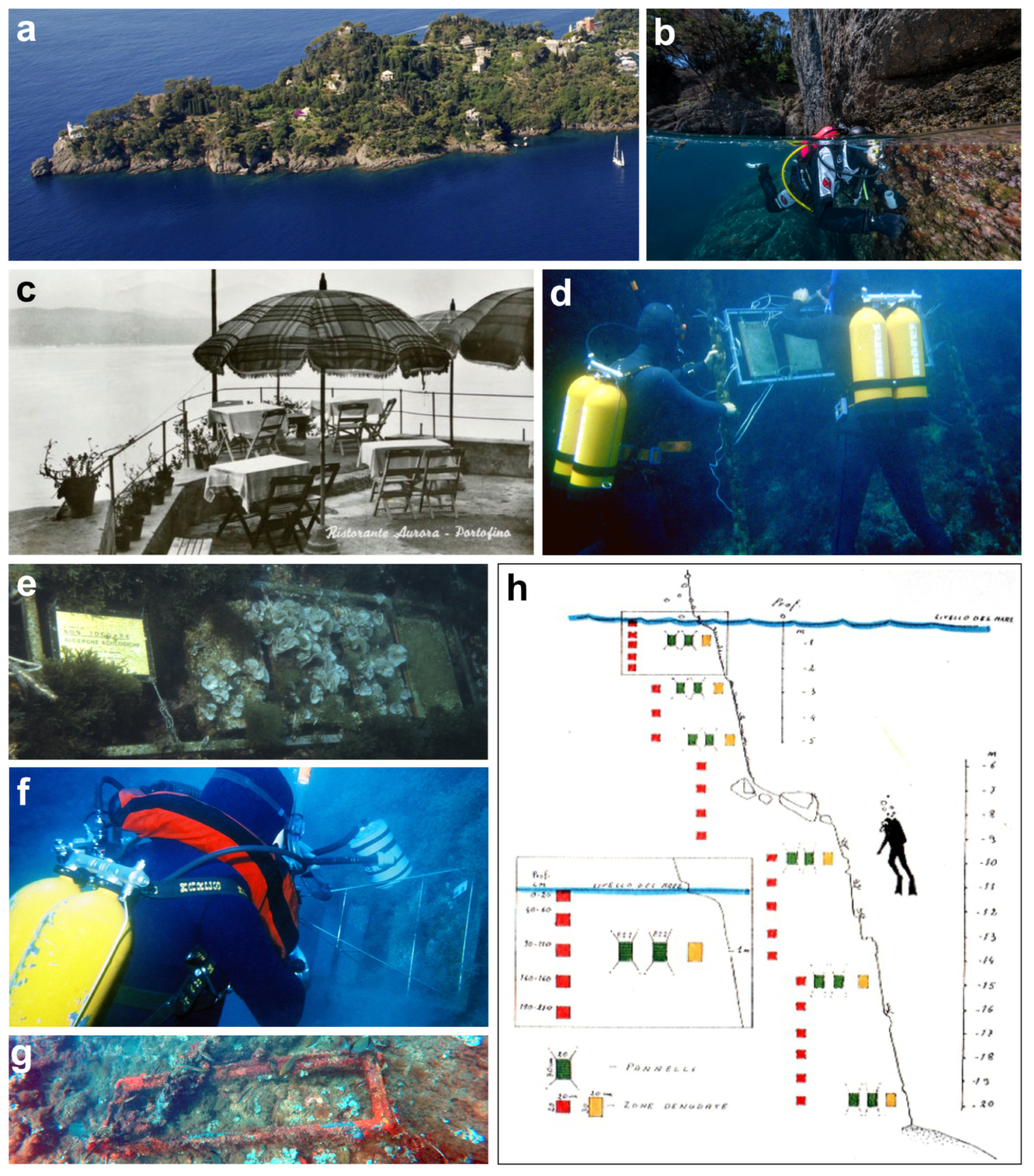 Diversity 16 00629 g017