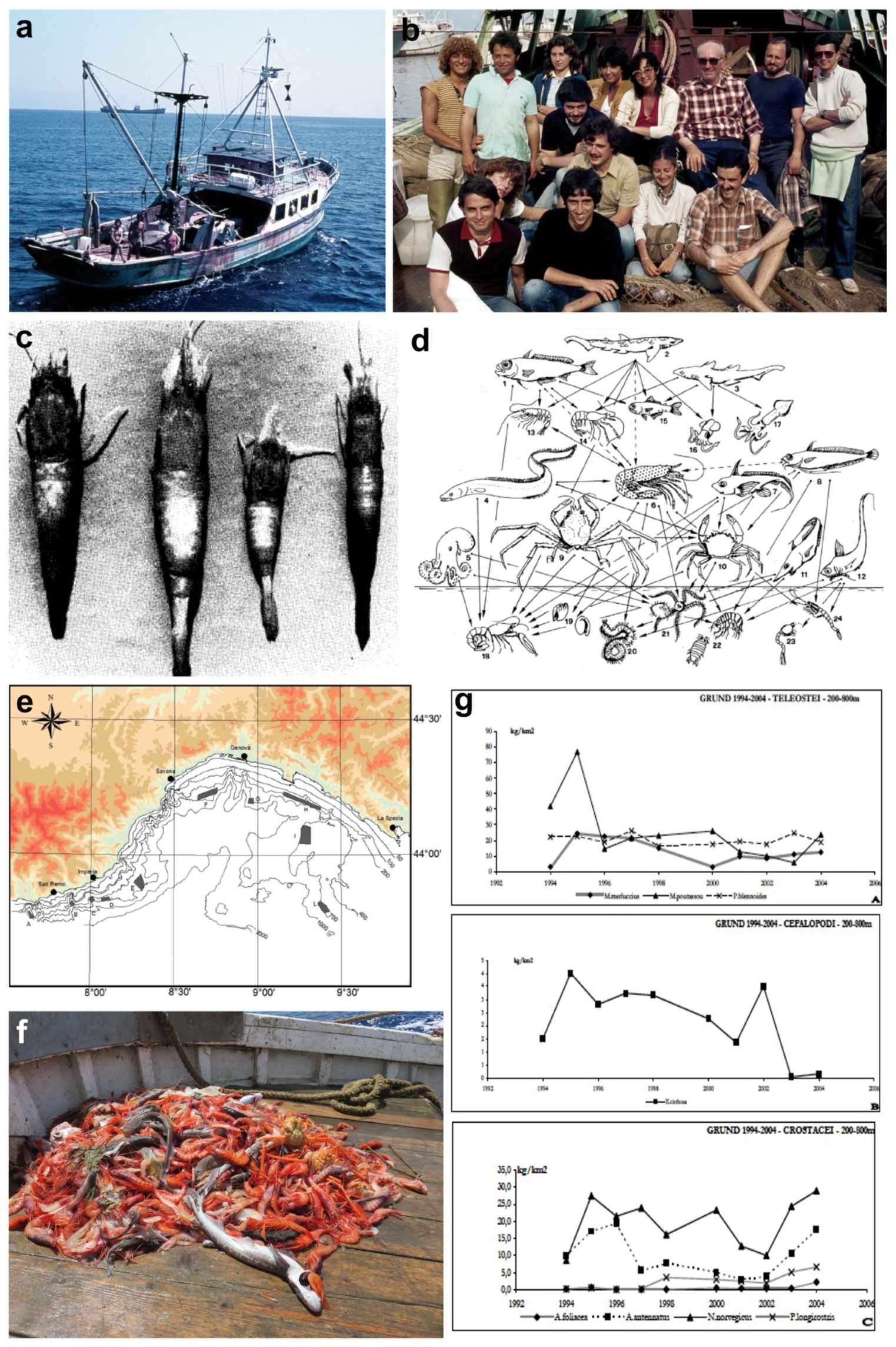 Diversity 16 00629 g020