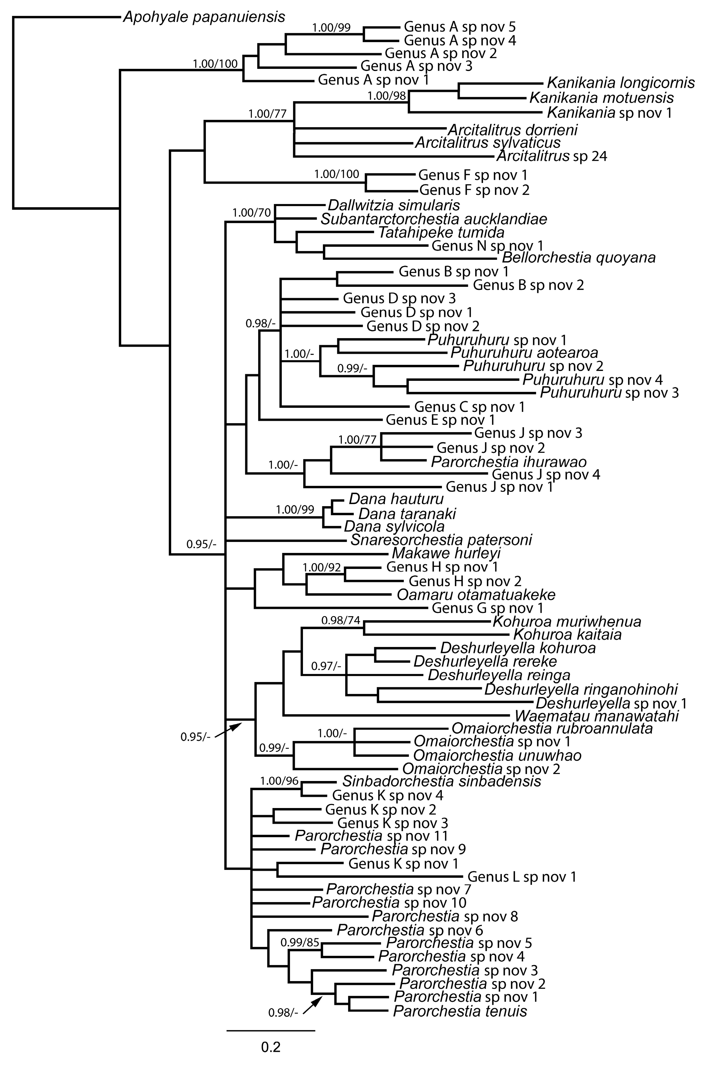 Diversity 16 00632 g003