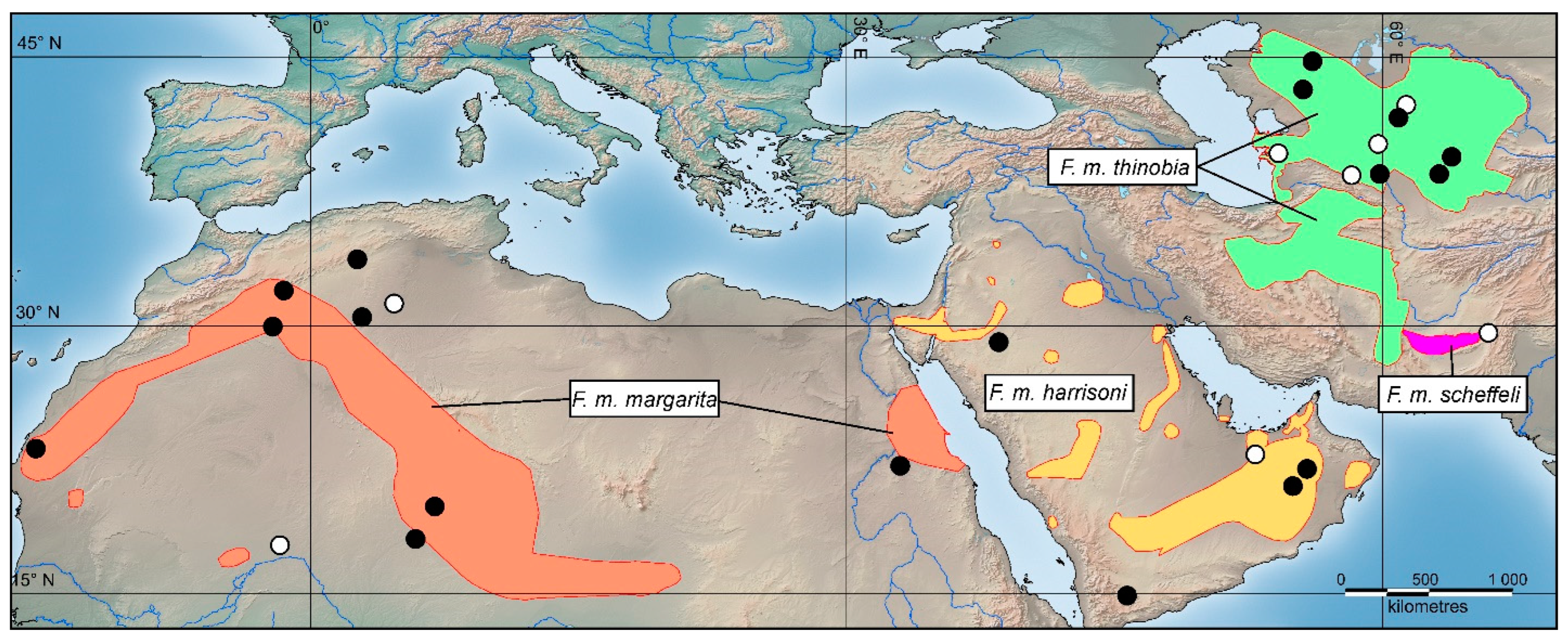 Diversity 16 00635 g001