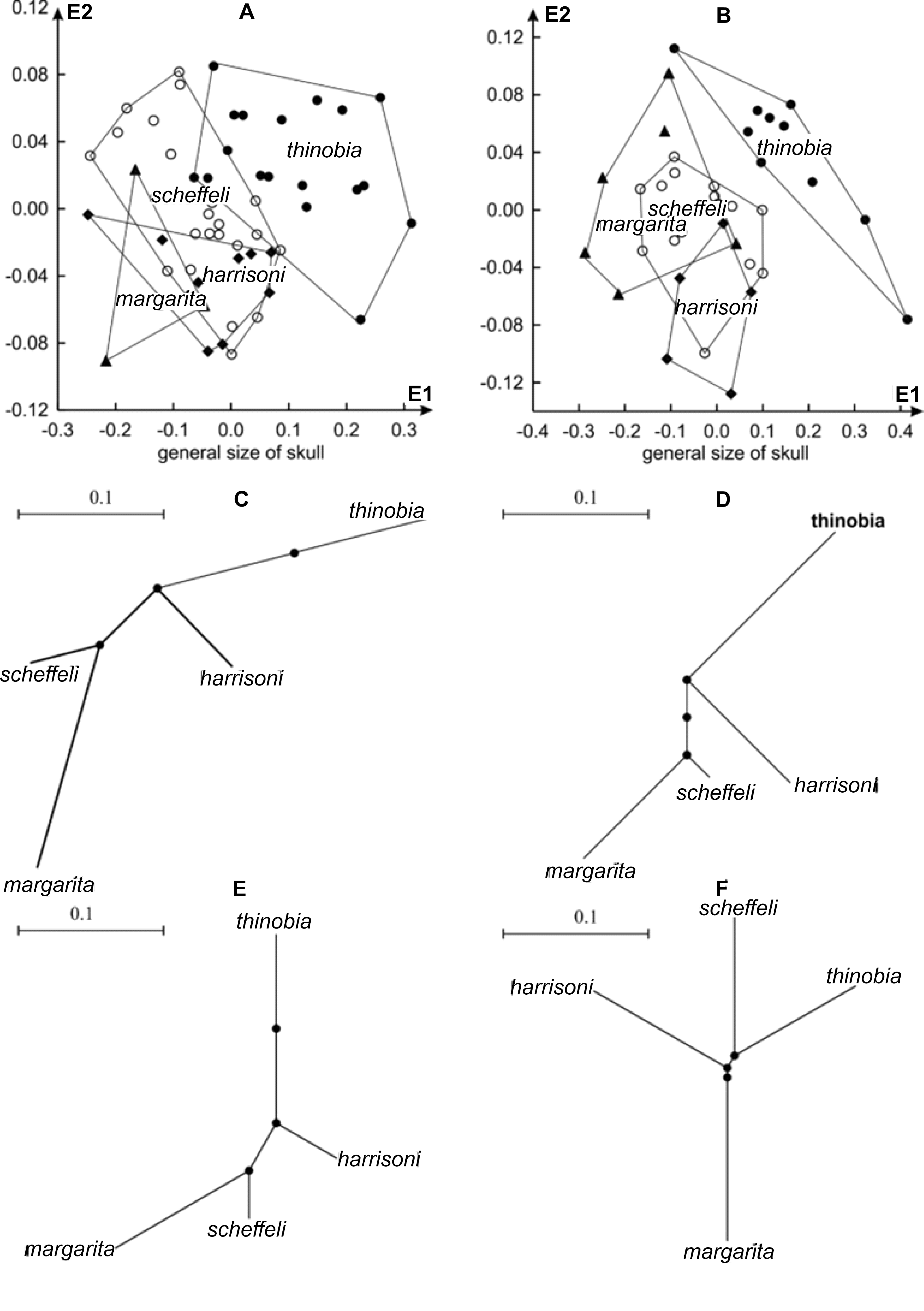 Diversity 16 00635 g003