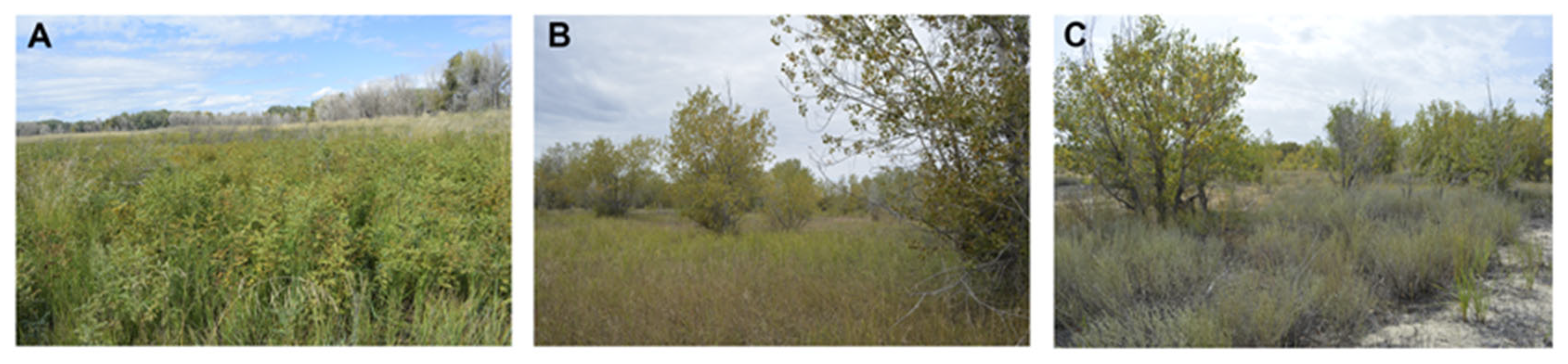 Diversity 16 00641 g003