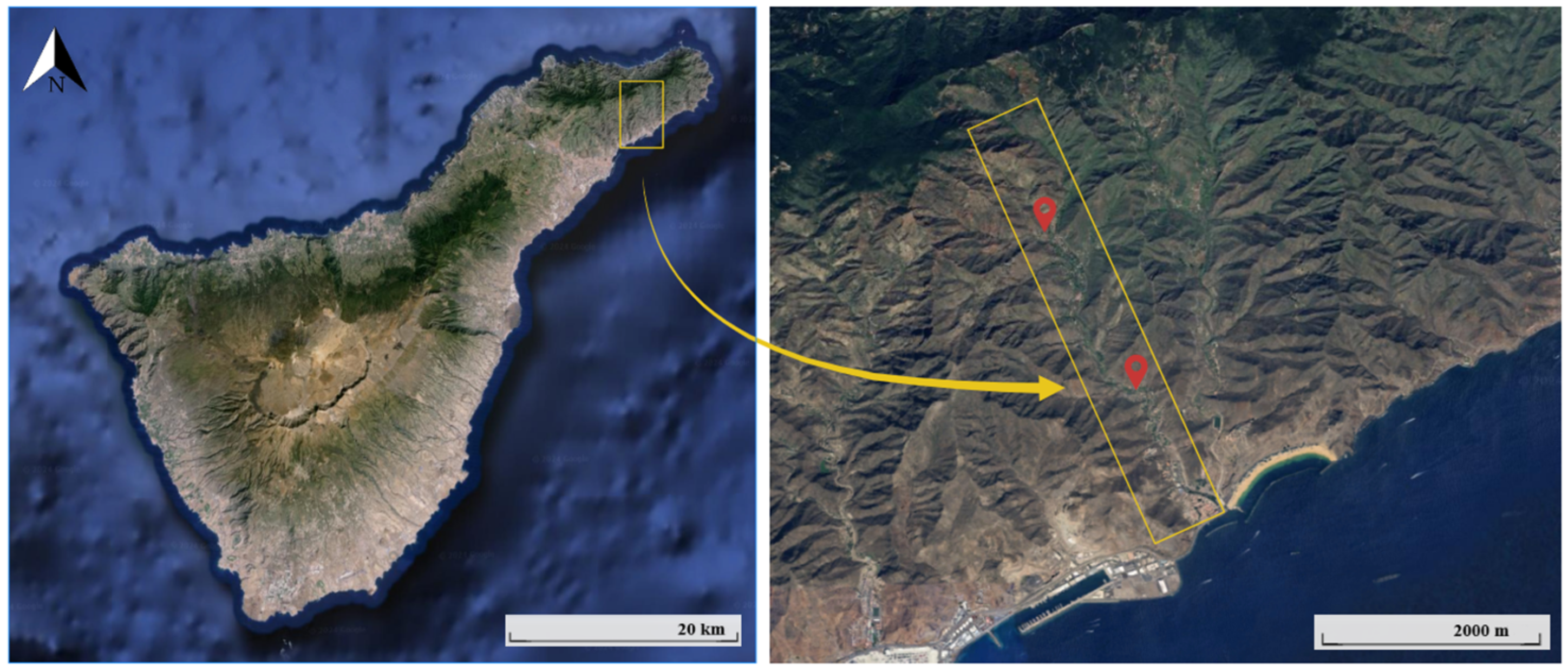 Diversity 16 00643 g001