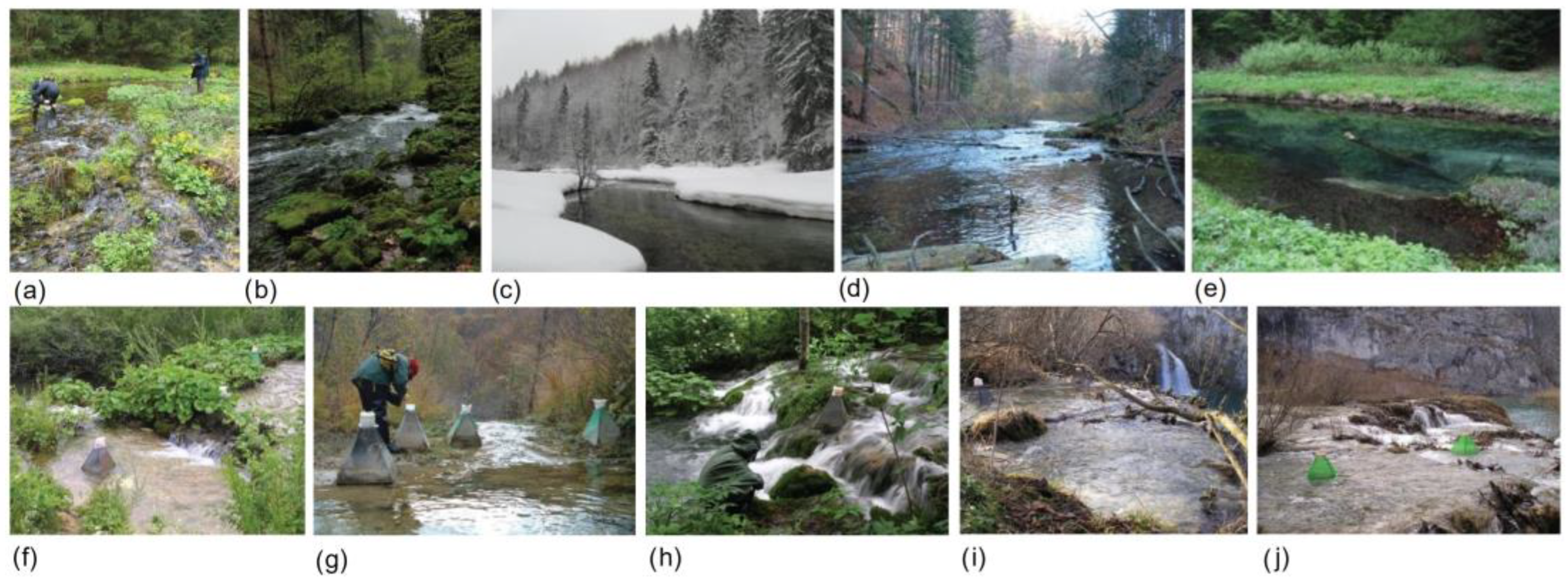 Diversity 16 00645 g001 Diversity 16 00645 g001