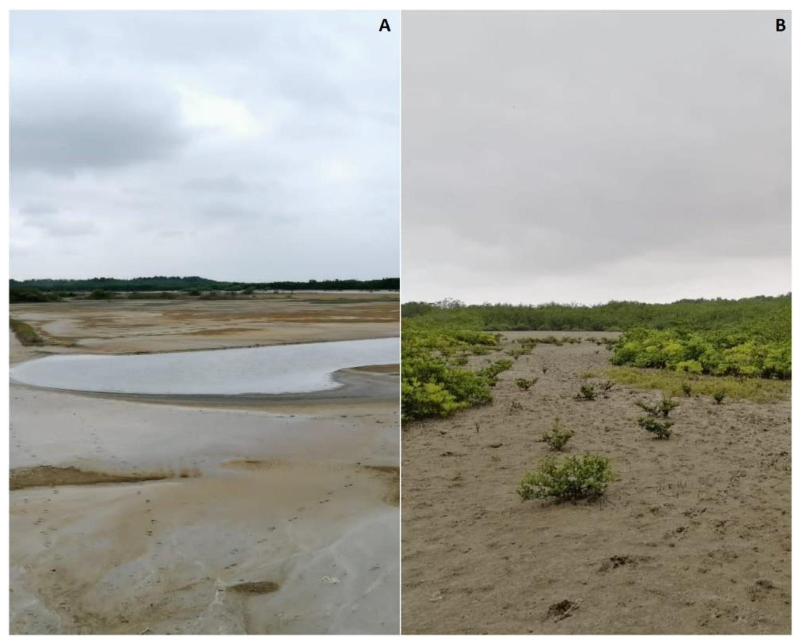 Diversity 16 00655 g002 Diversity 16 00655 g002