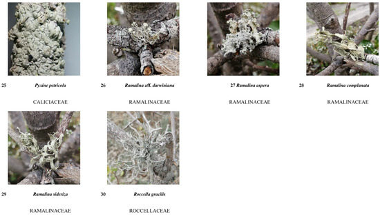 Diversity 16 00655 g0a1d